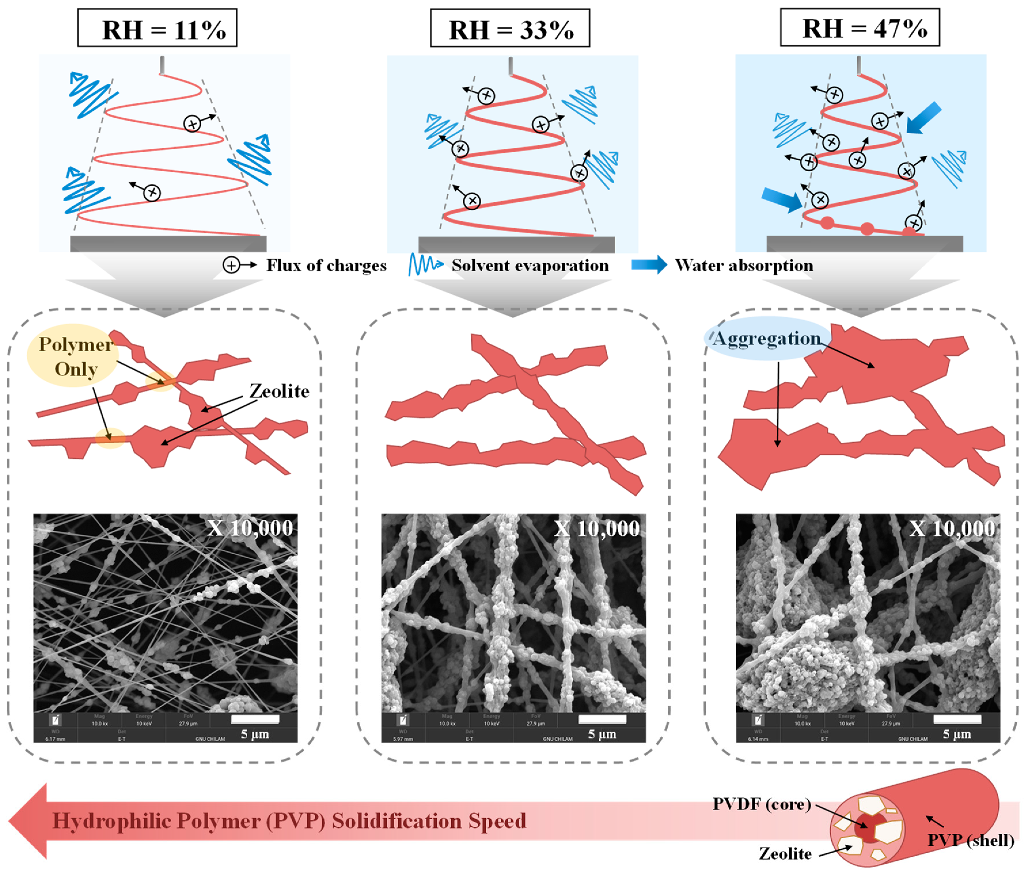 Nanomaterials 14 01152 g002