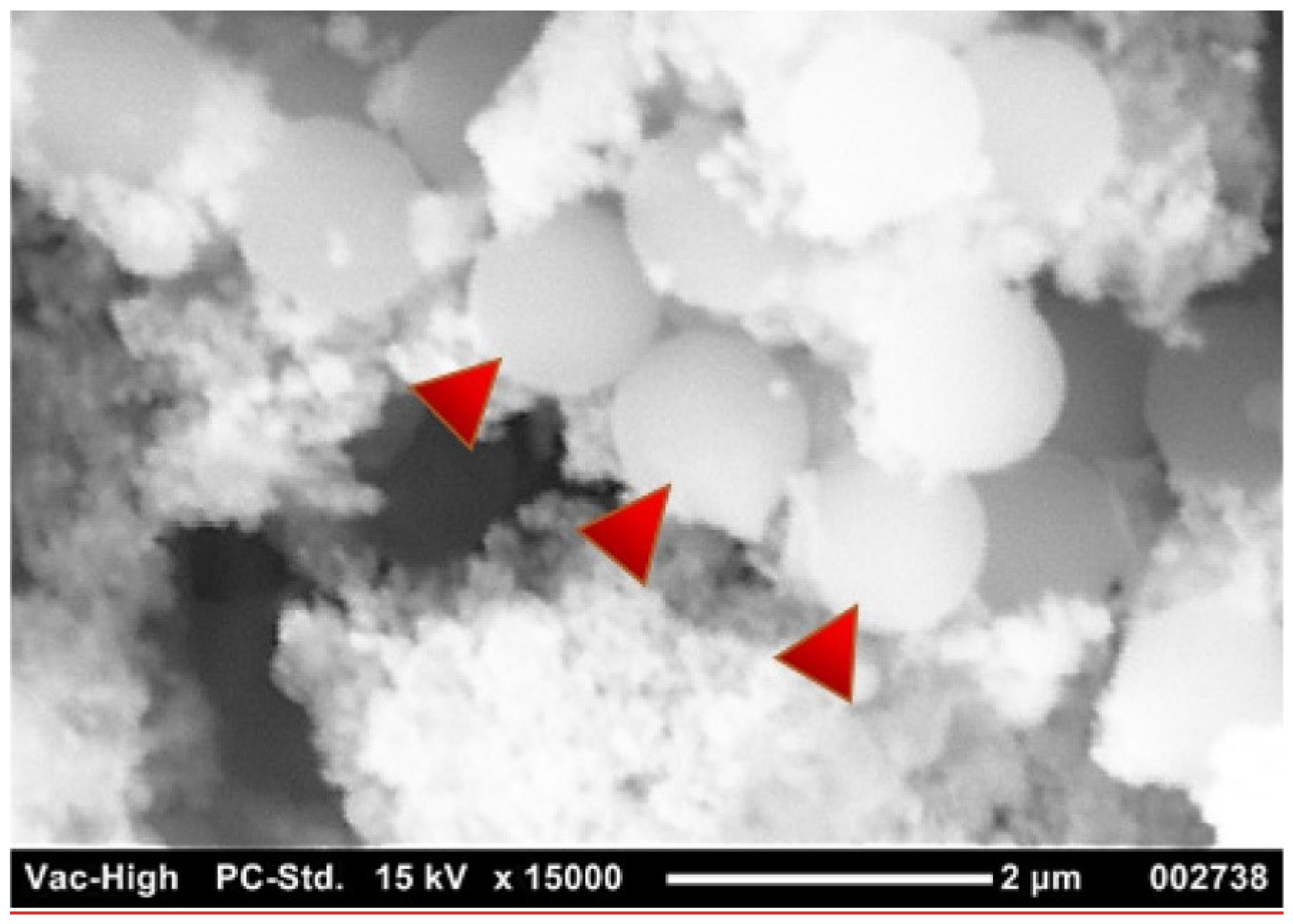 Nanomaterials 14 01179 g010