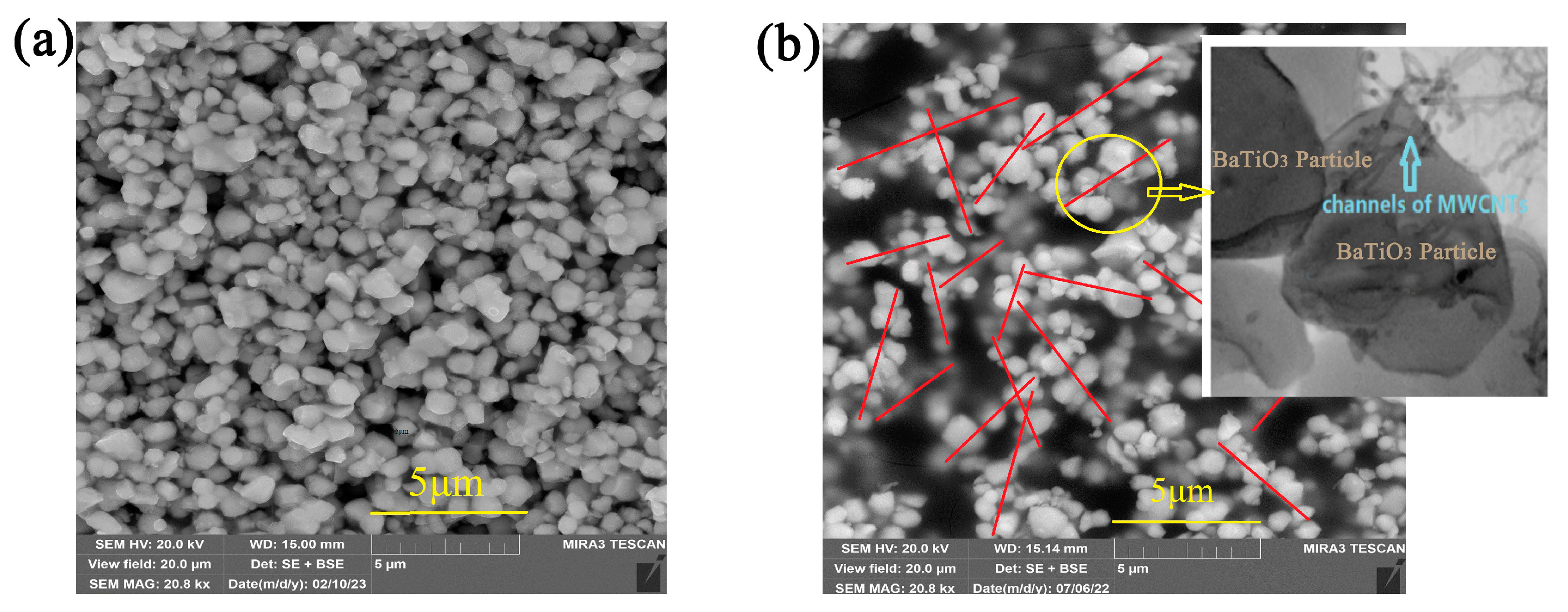 Nanomaterials 14 01232 g010