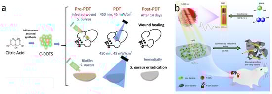 Nanomaterials 14 01250 g002