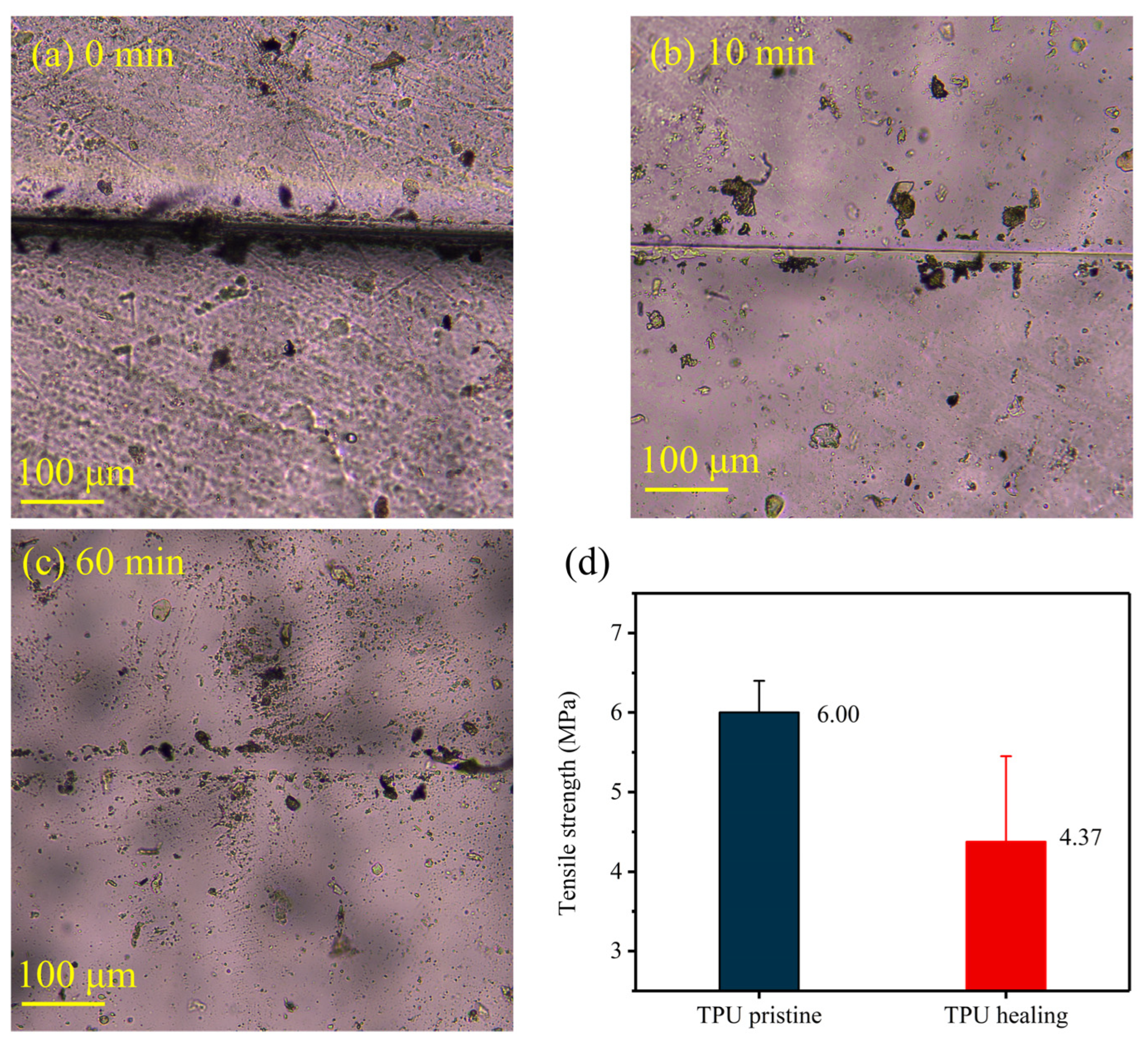 Nanomaterials 14 01269 g004 Nanomaterials 14 01269 g004