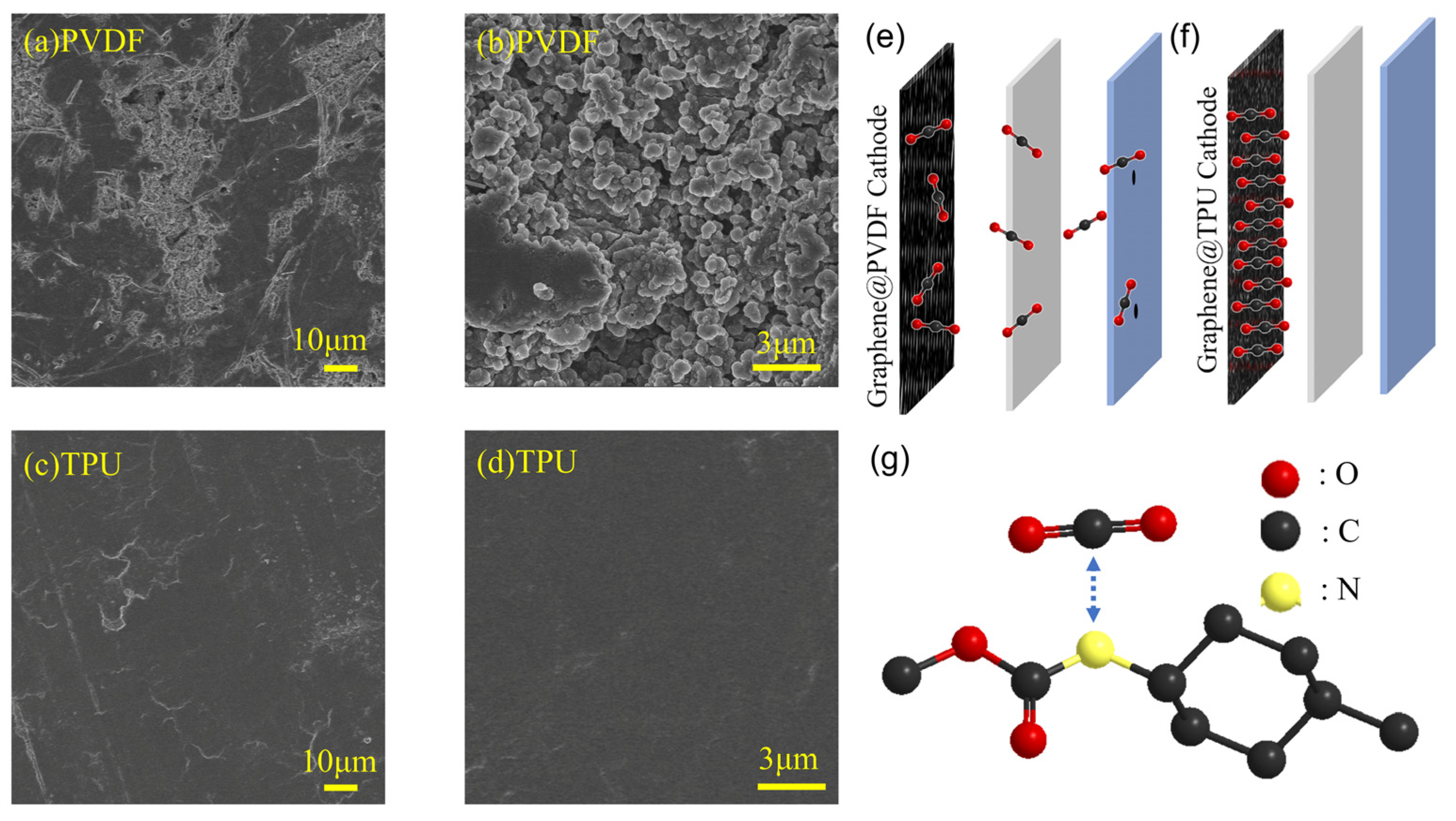 Nanomaterials 14 01269 g009 Nanomaterials 14 01269 g009