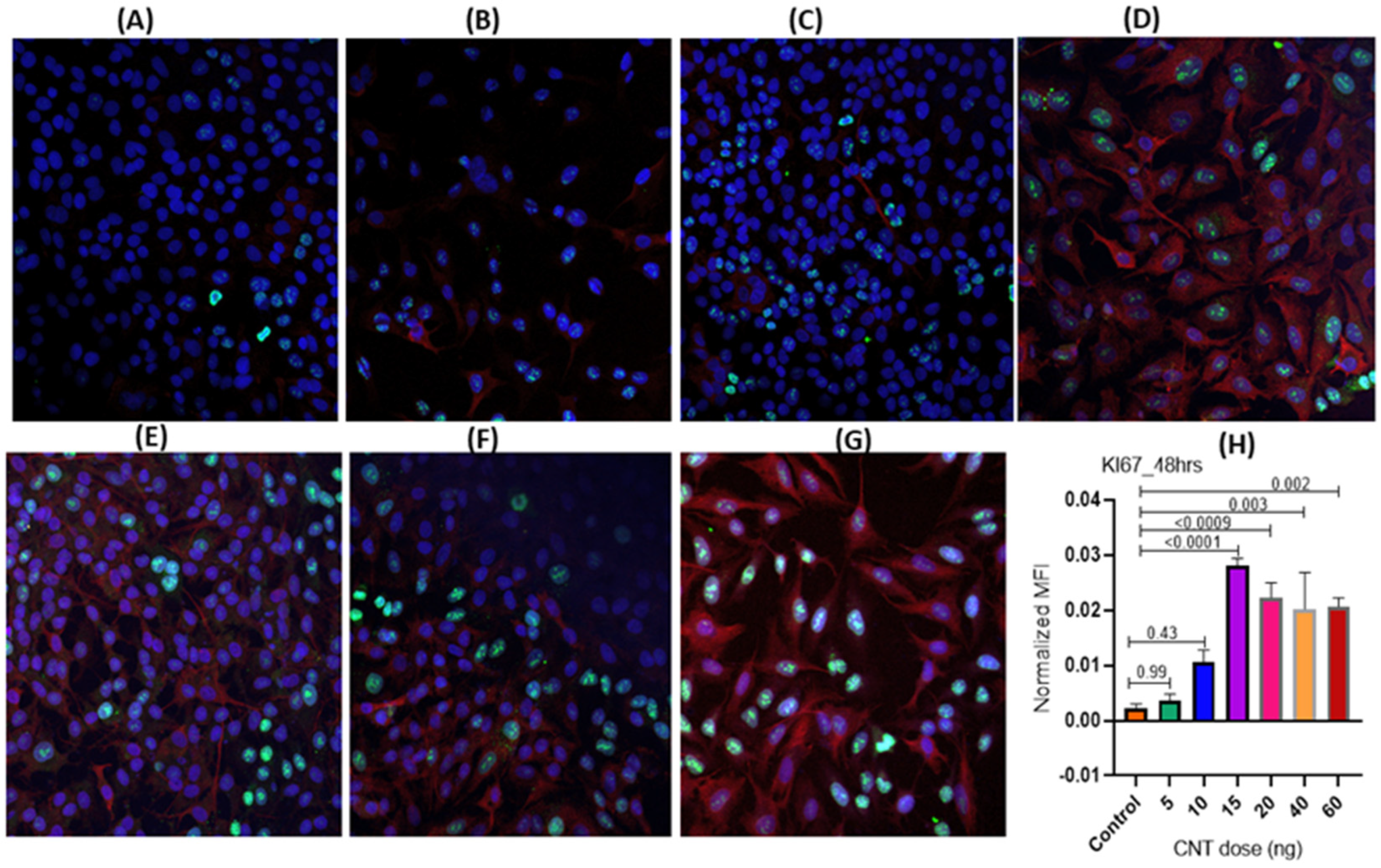 Nanomaterials 14 01273 g002
