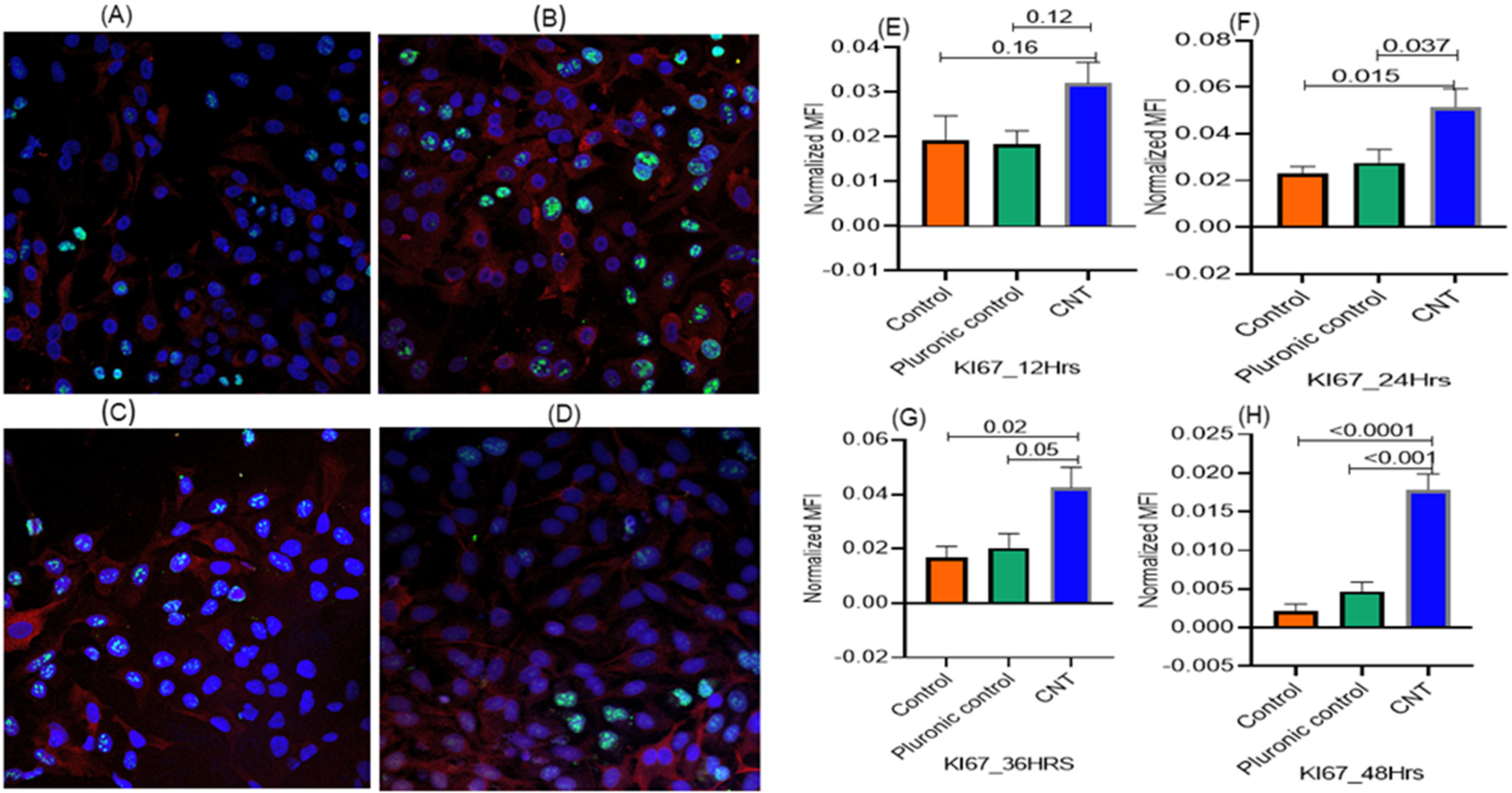 Nanomaterials 14 01273 g003