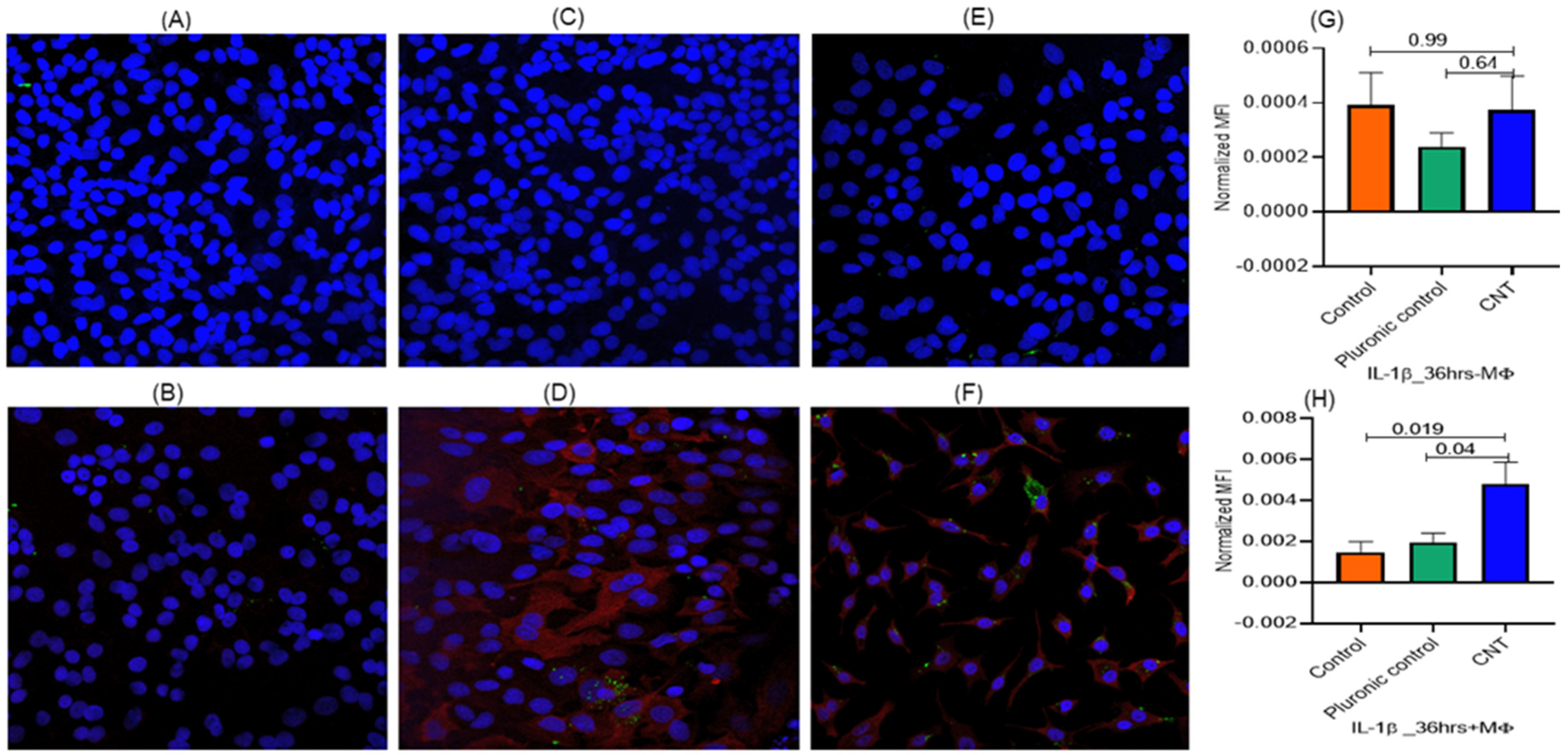 Nanomaterials 14 01273 g006