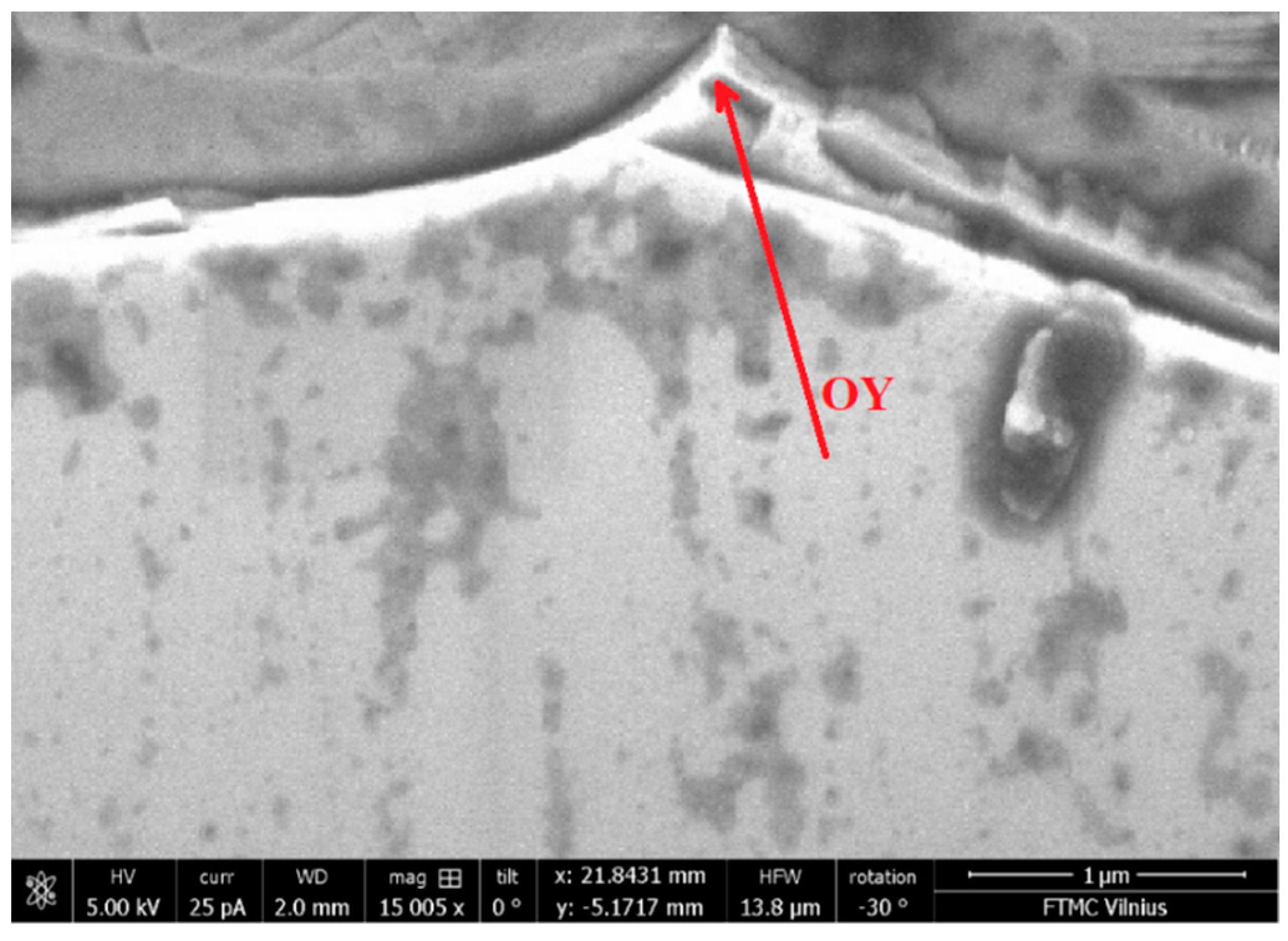 Nanomaterials 14 01277 g002