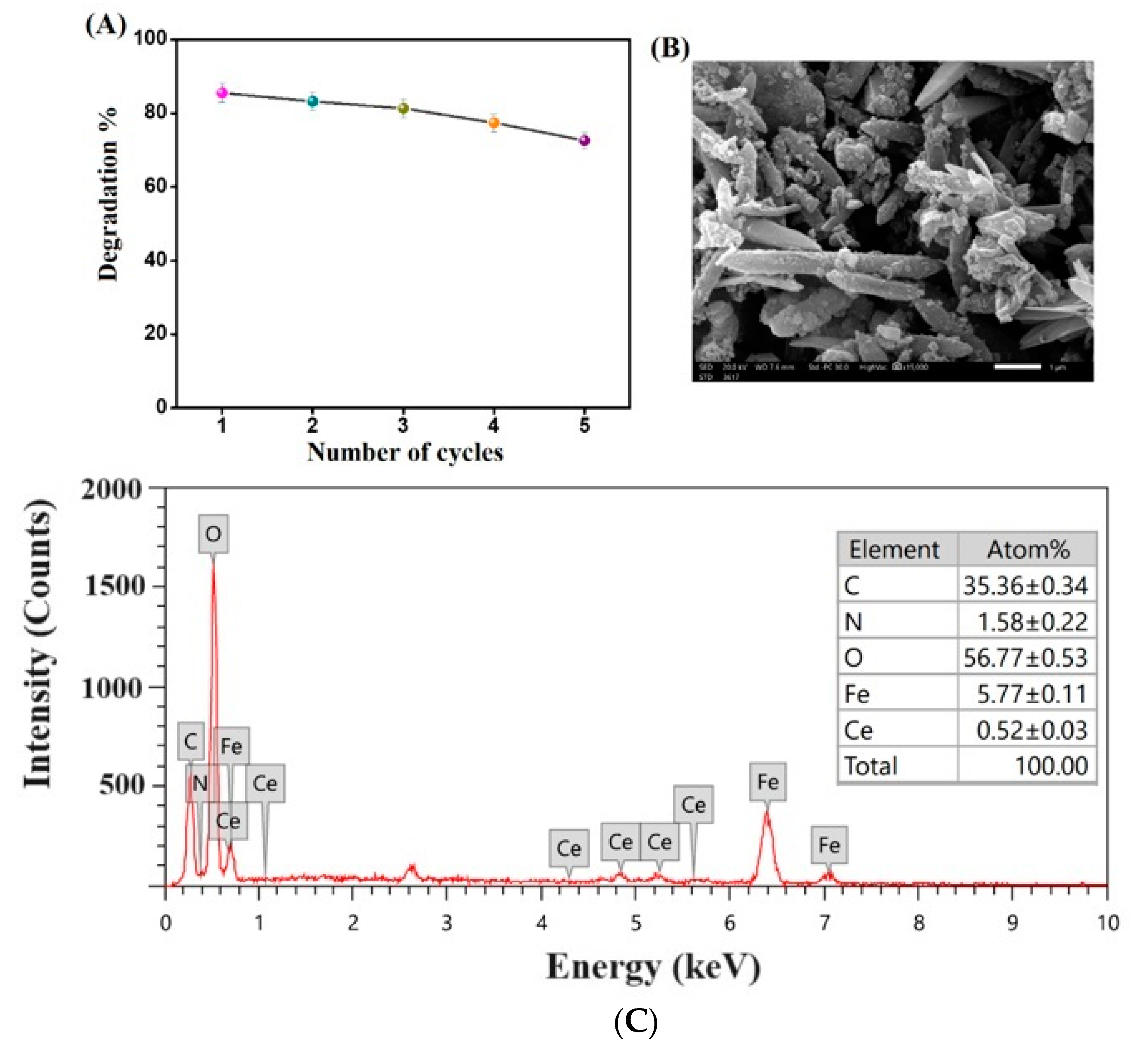 Nanomaterials 14 01282 g010
