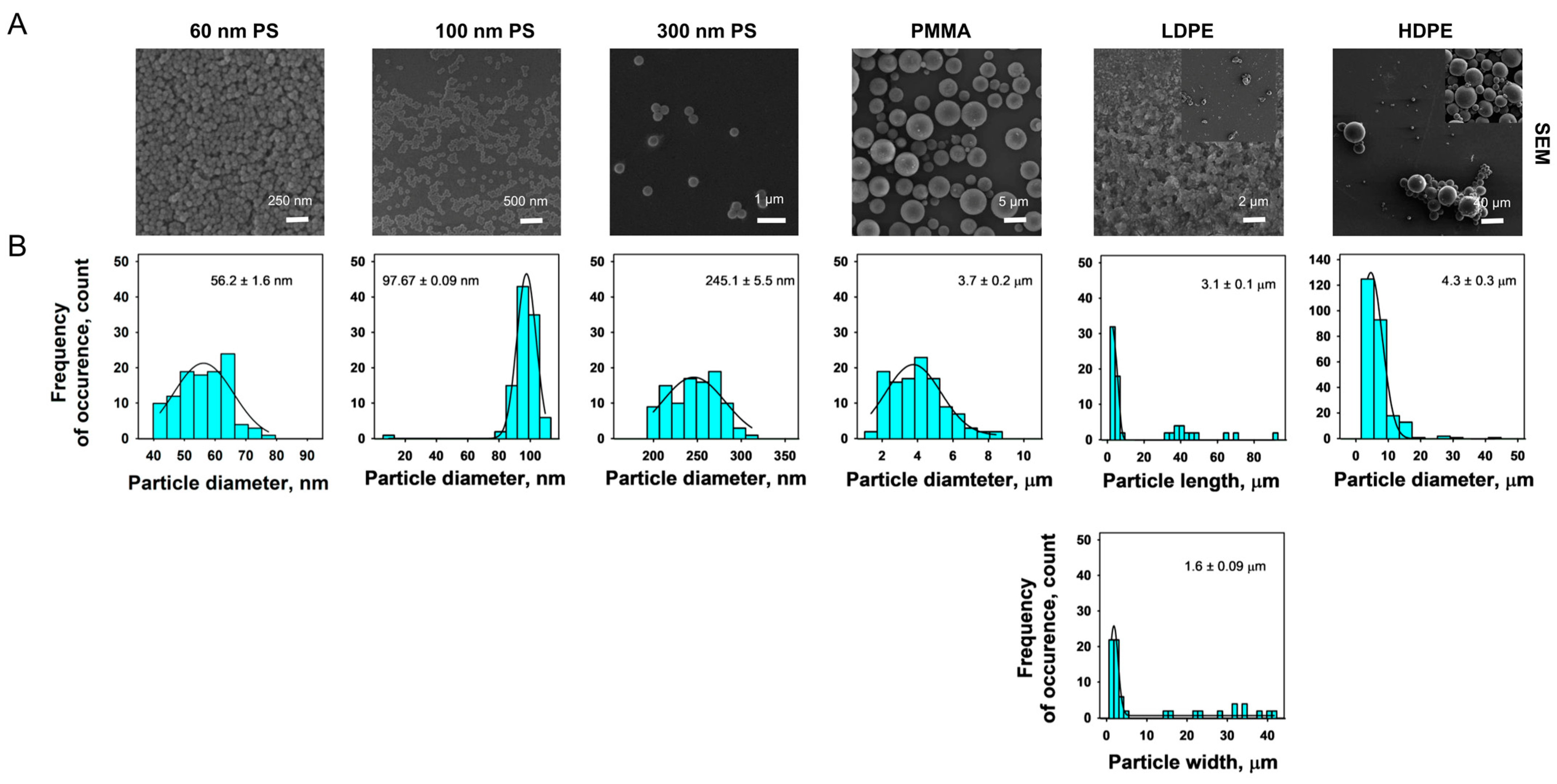 Nanomaterials 14 01287 g003