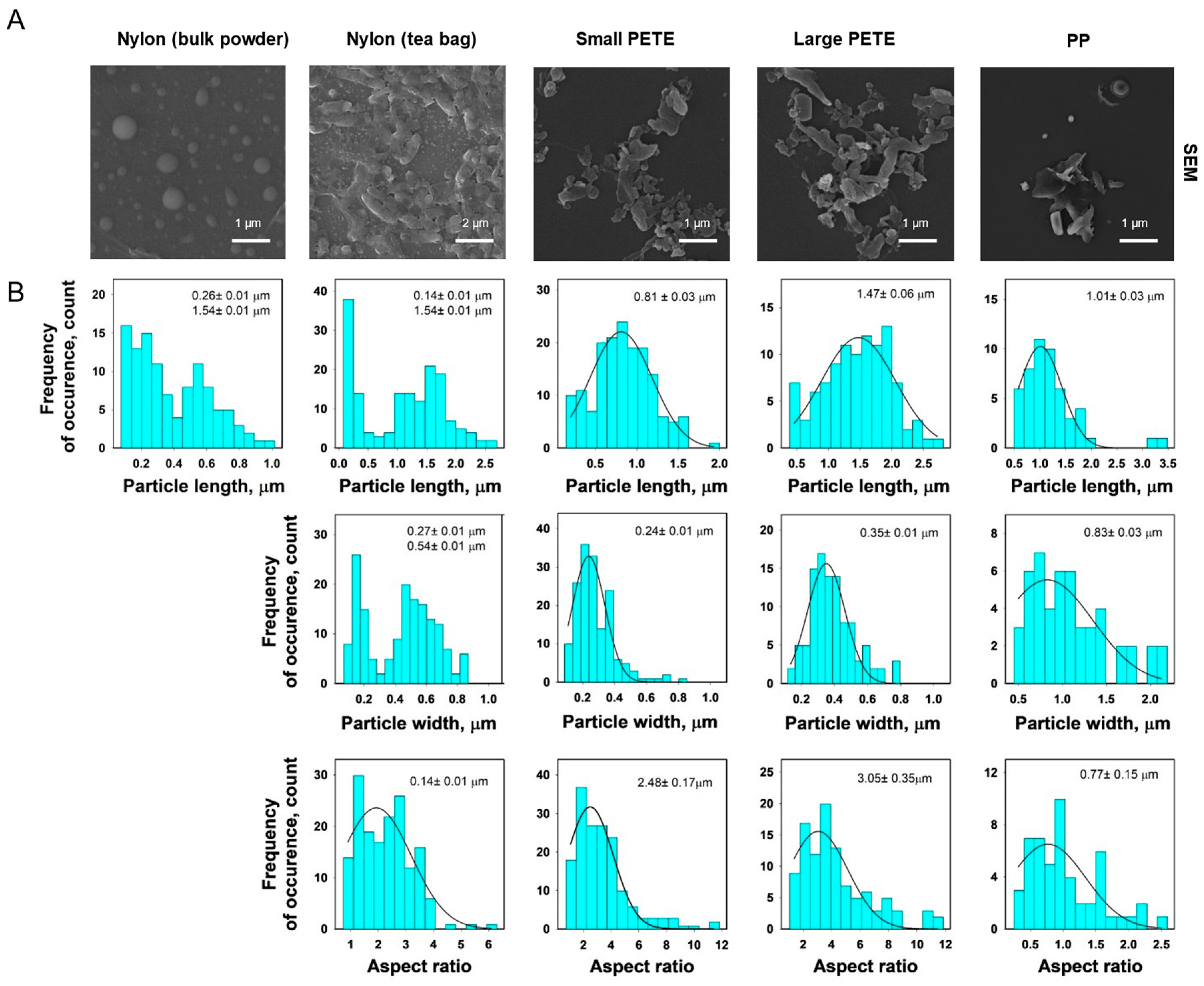Nanomaterials 14 01287 g004