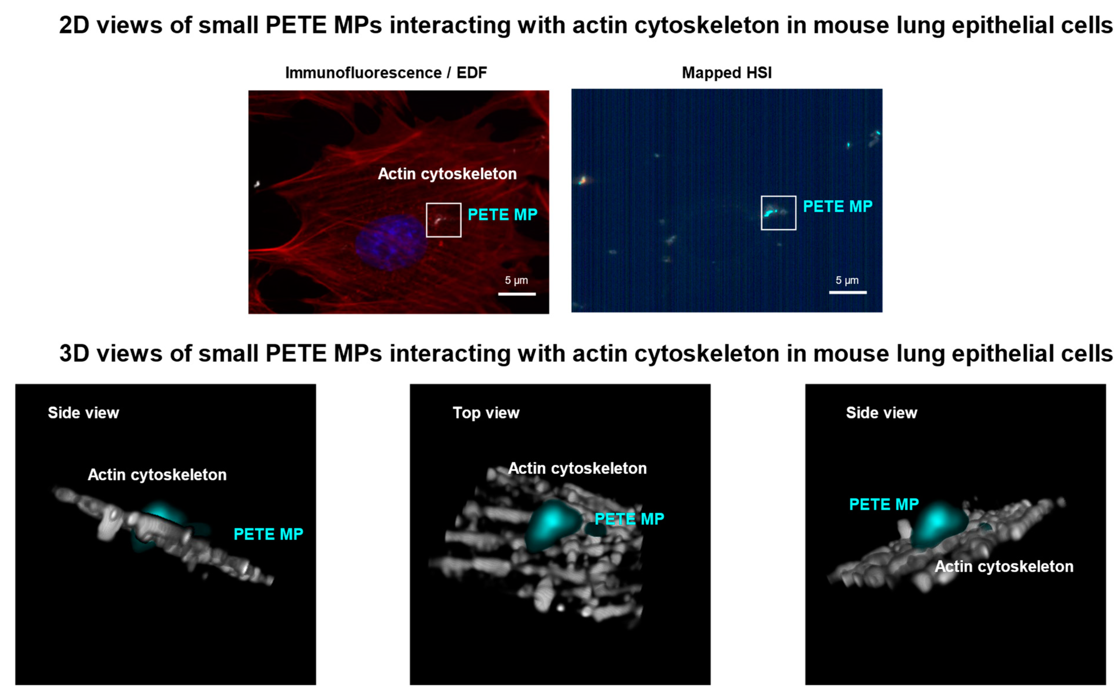 Nanomaterials 14 01287 g011