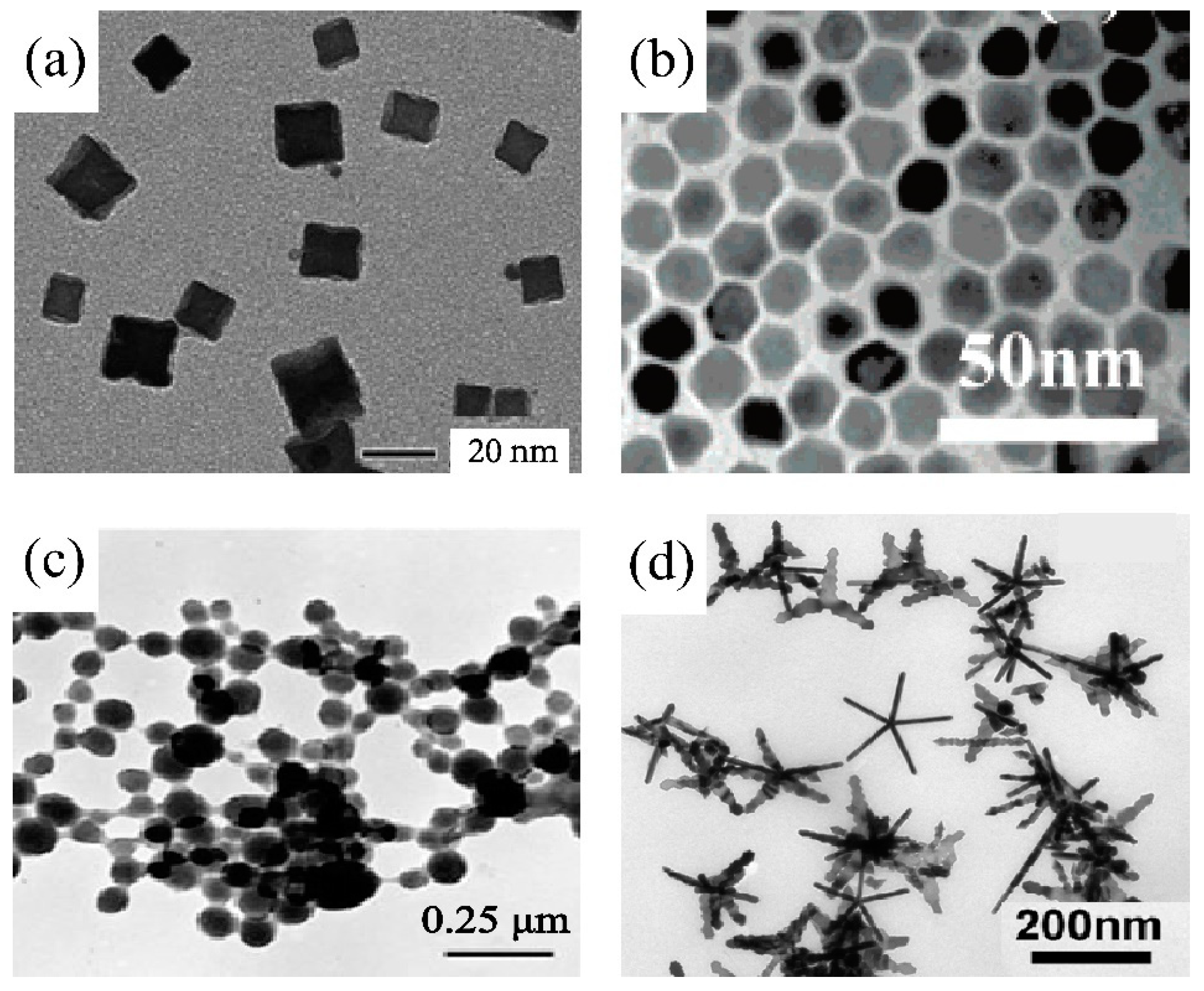 Nanomaterials 14 01303 g003