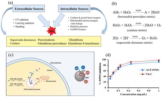 Nanomaterials 14 01303 g004