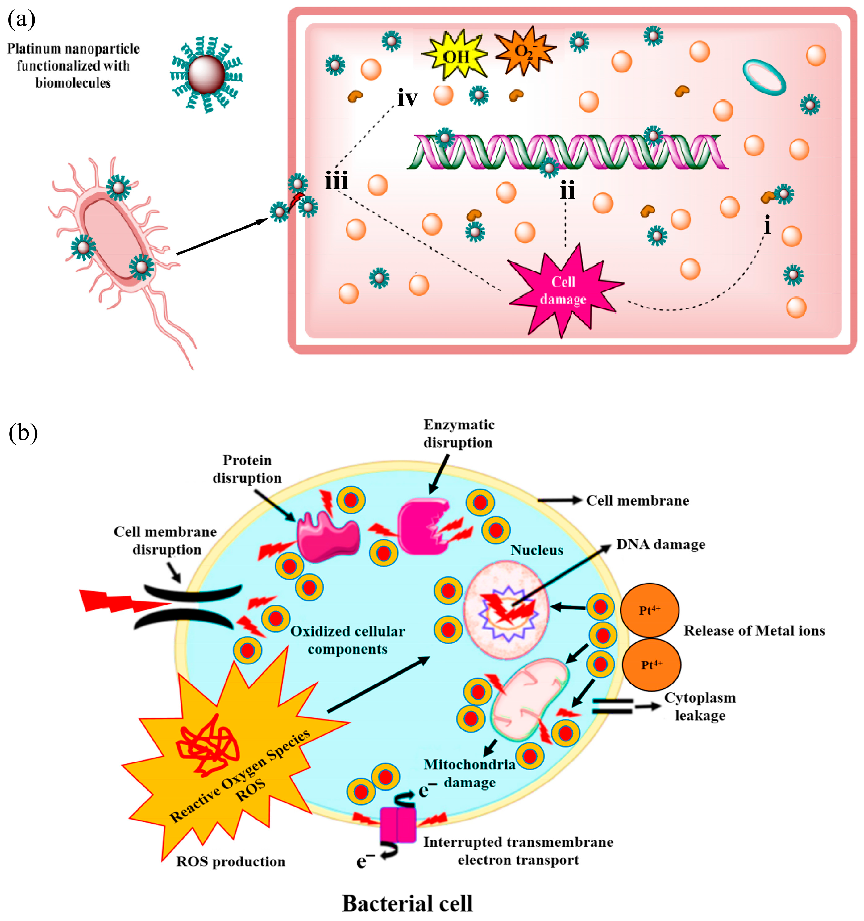 Nanomaterials 14 01303 g006