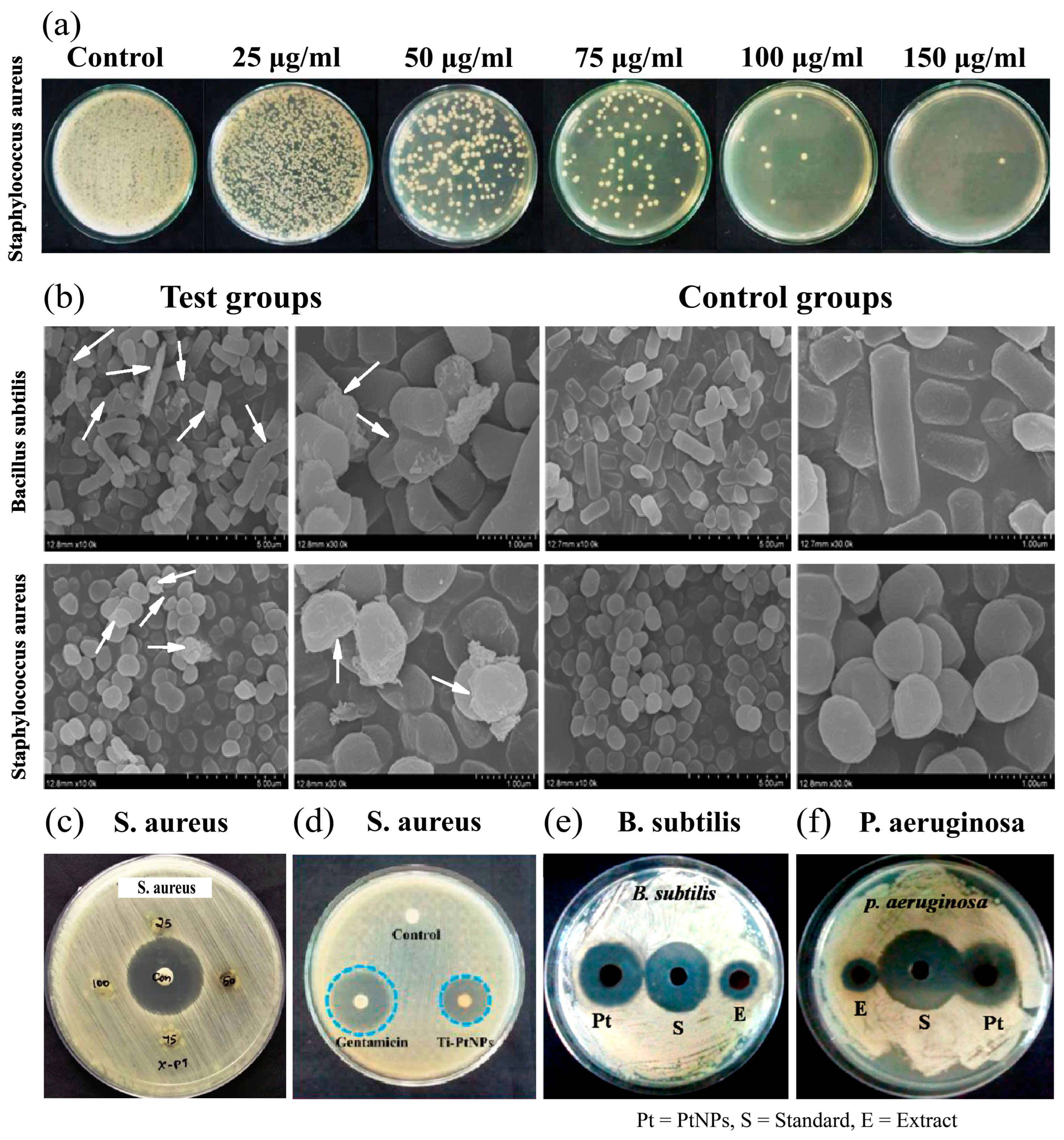 Nanomaterials 14 01303 g007
