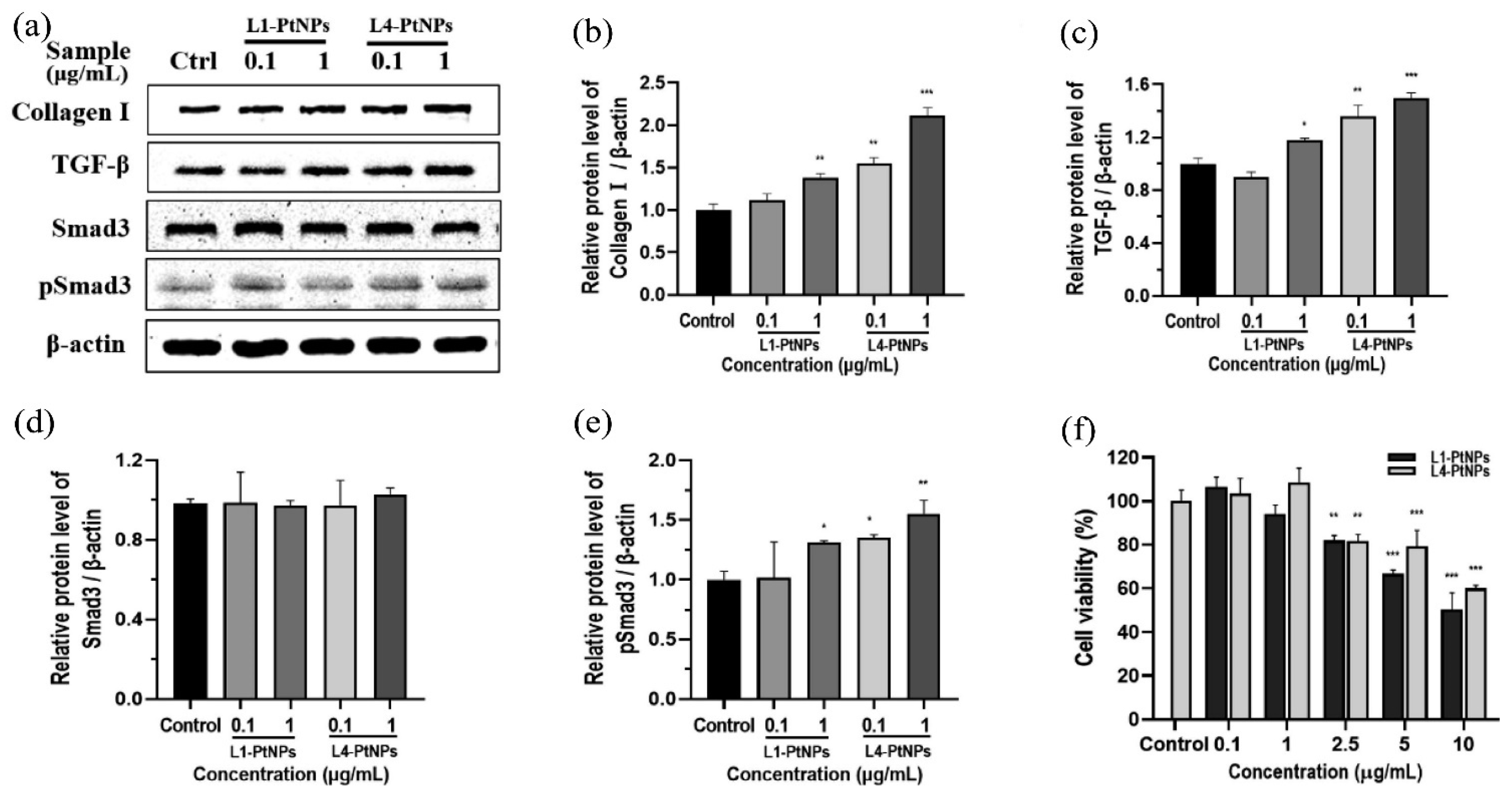 Nanomaterials 14 01303 g008