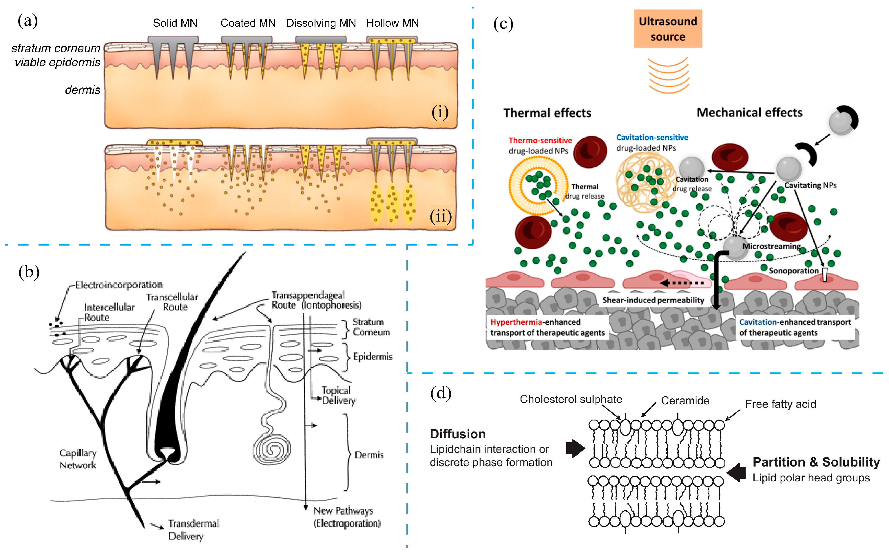 Nanomaterials 14 01303 g009