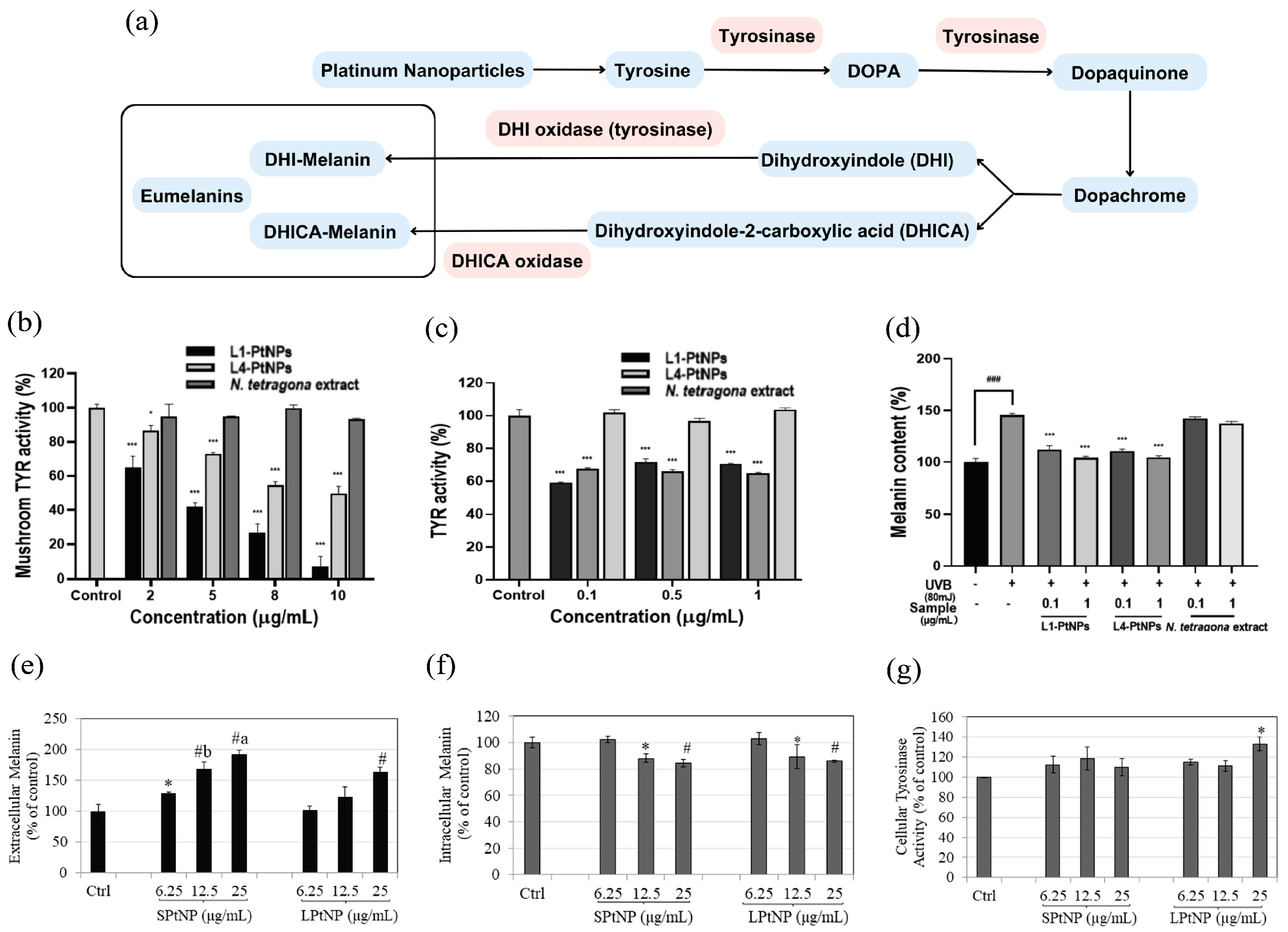 Nanomaterials 14 01303 g010