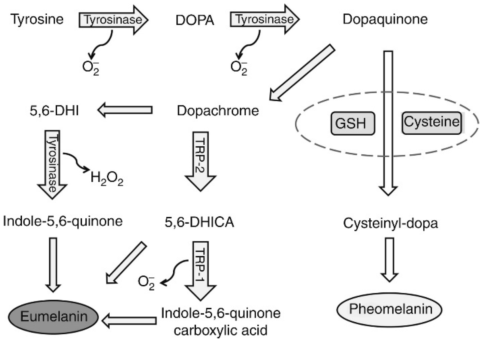 Nanomaterials 14 01303 g011
