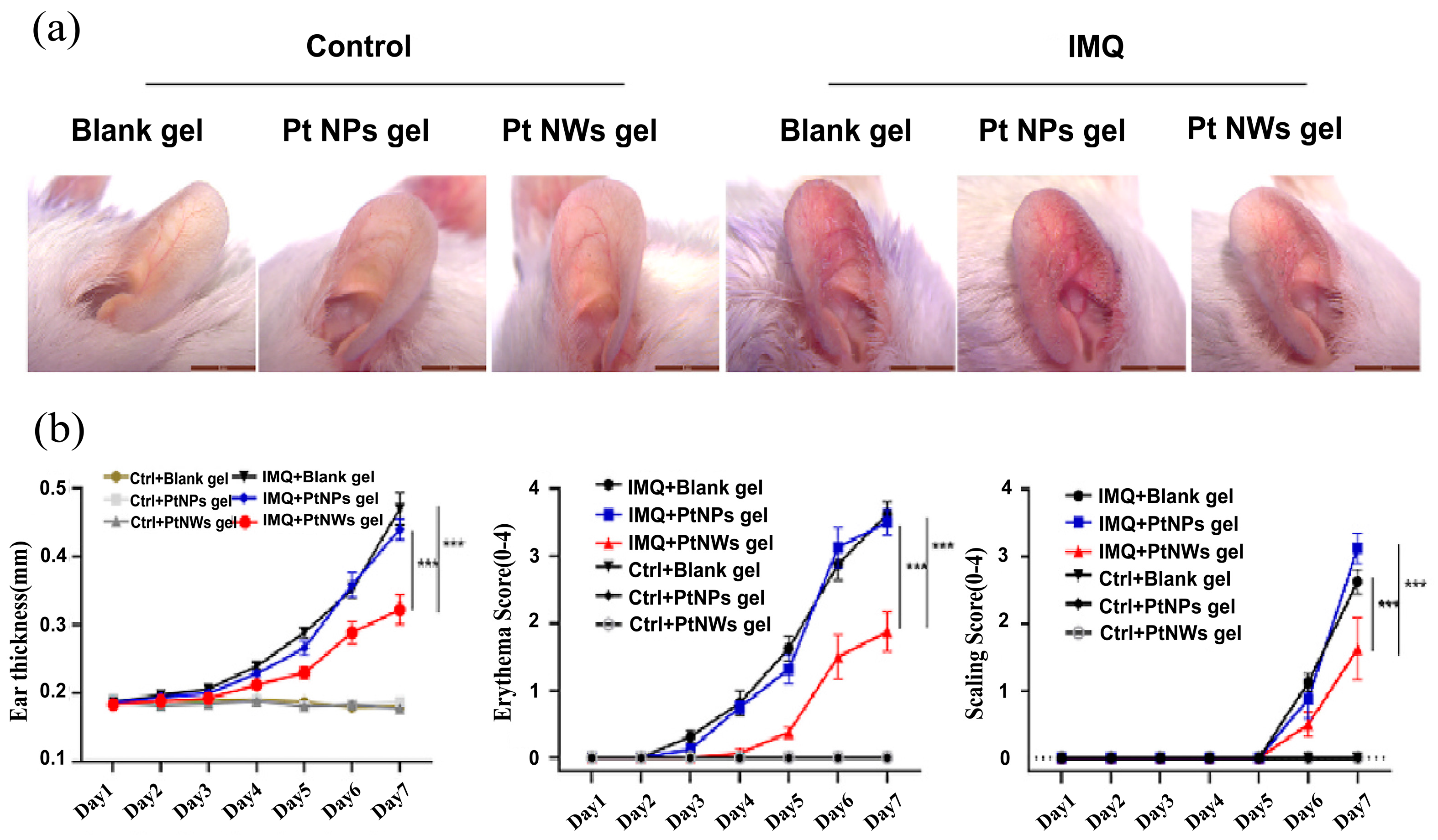 Nanomaterials 14 01303 g013