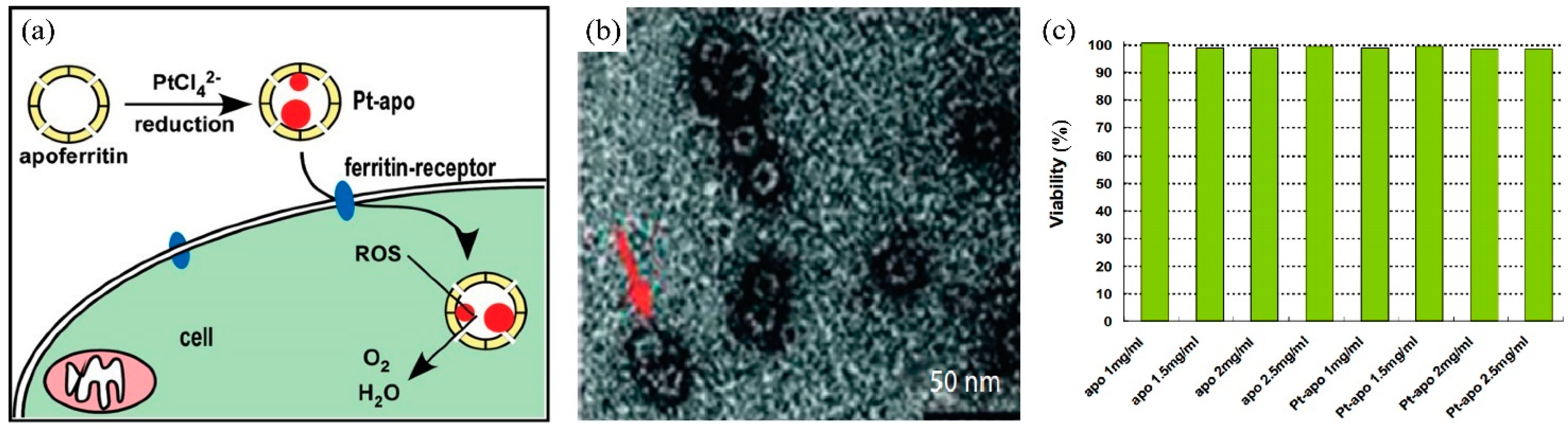 Nanomaterials 14 01303 g014