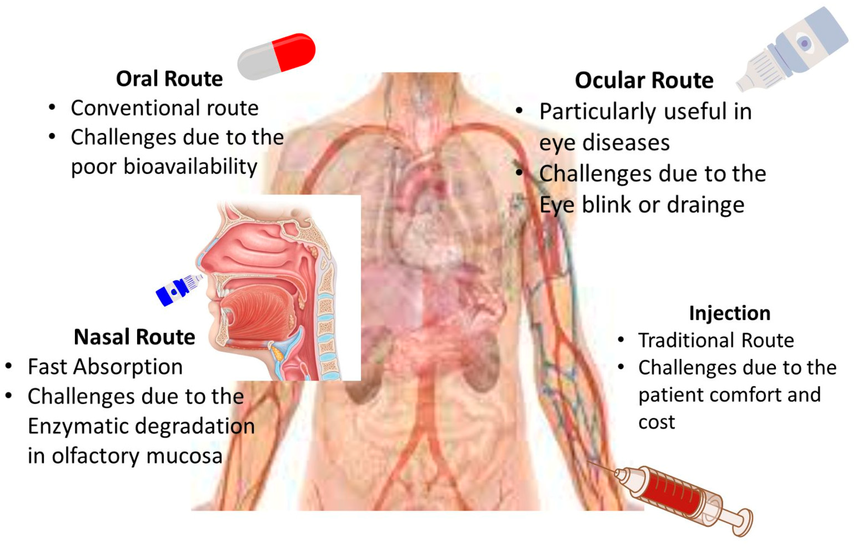 Nanomaterials 14 01305 g003