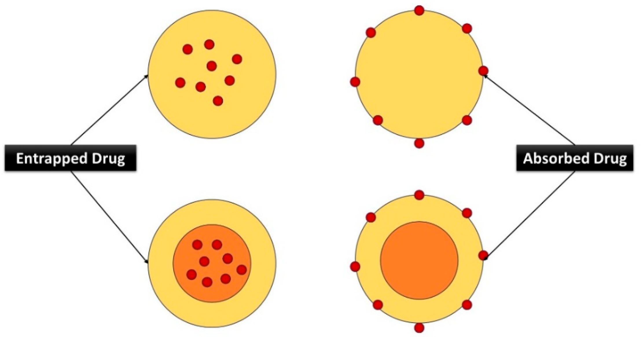 Nanomaterials 14 01305 g007