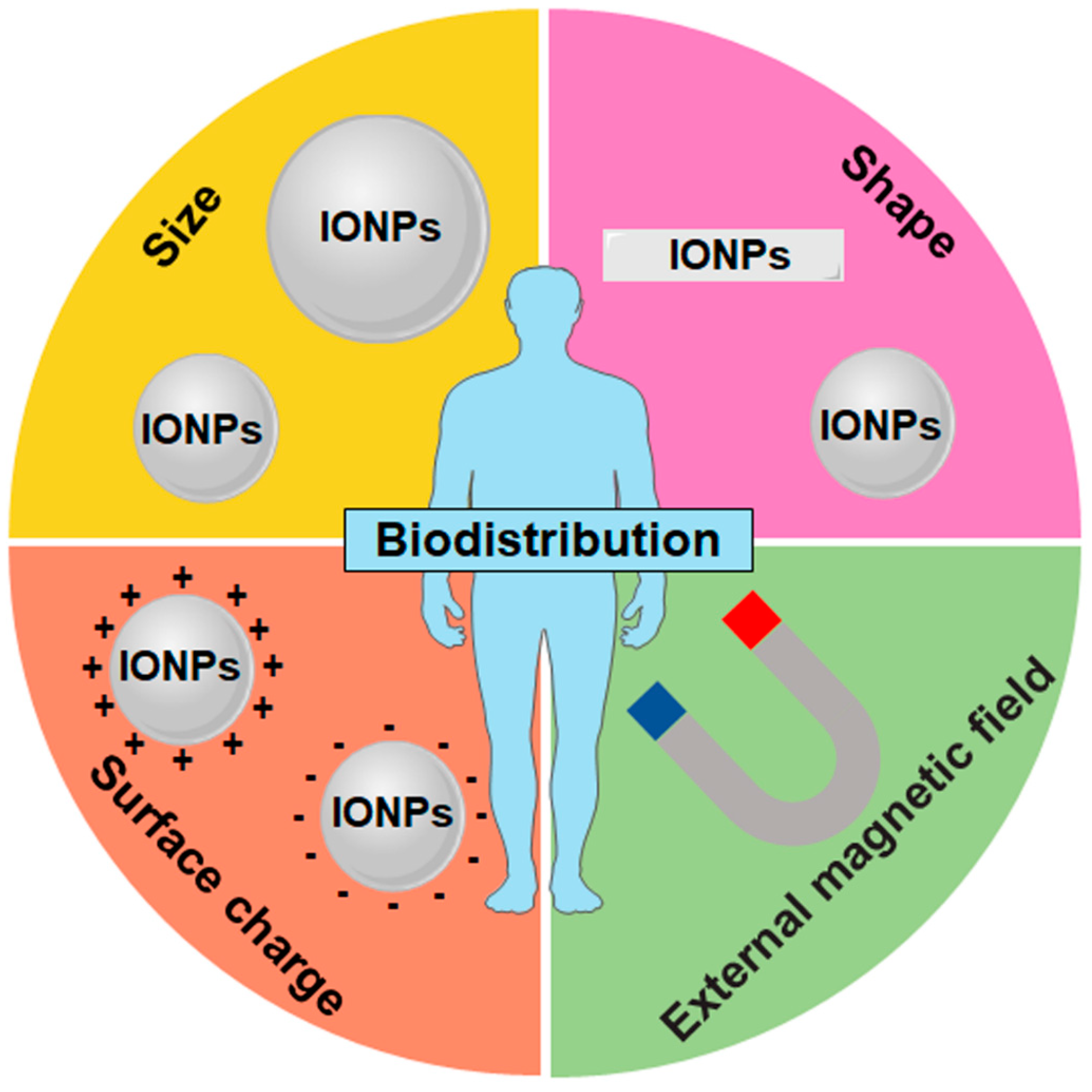 Nanomaterials 14 01311 g002