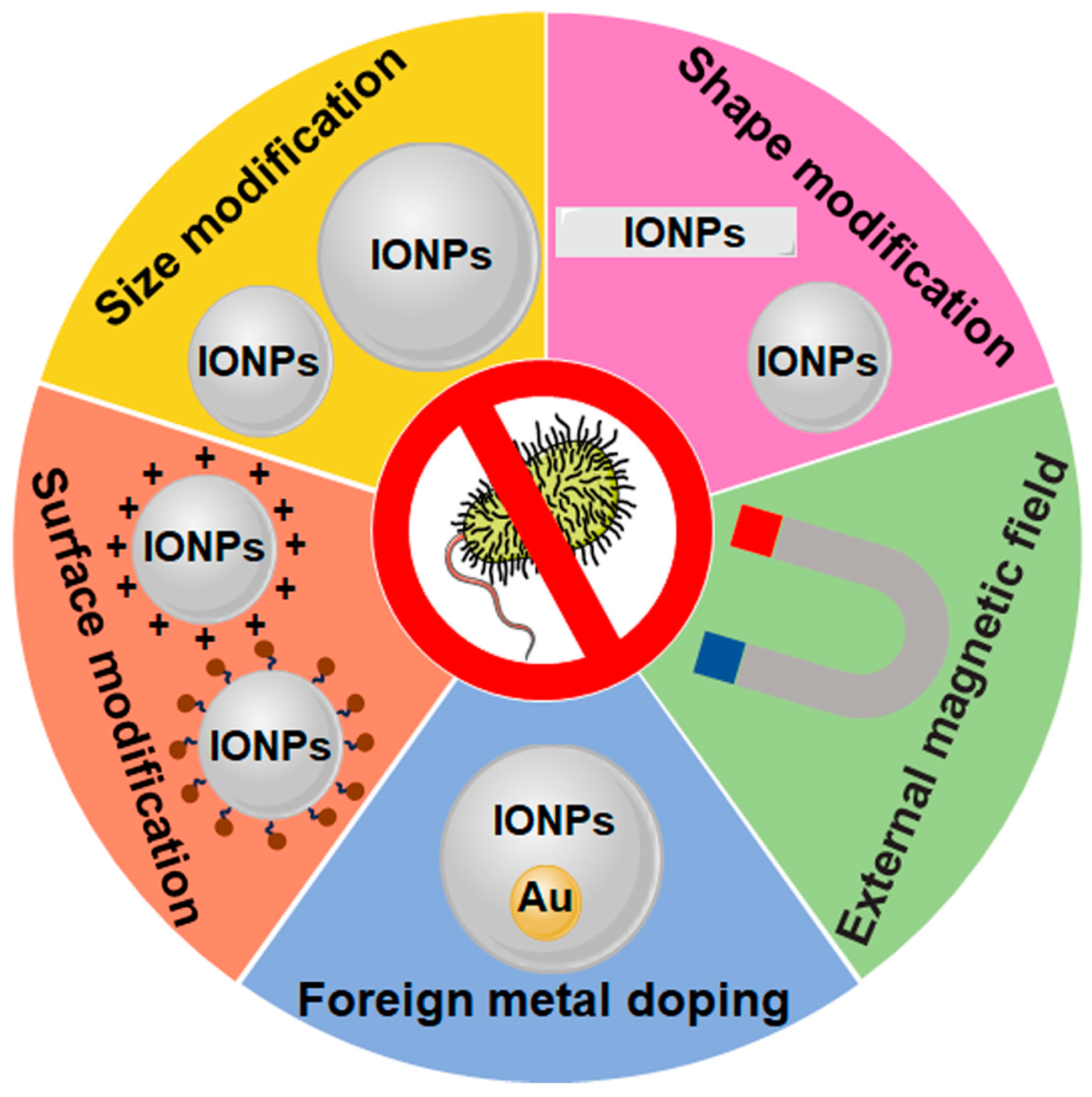 Nanomaterials 14 01311 g003