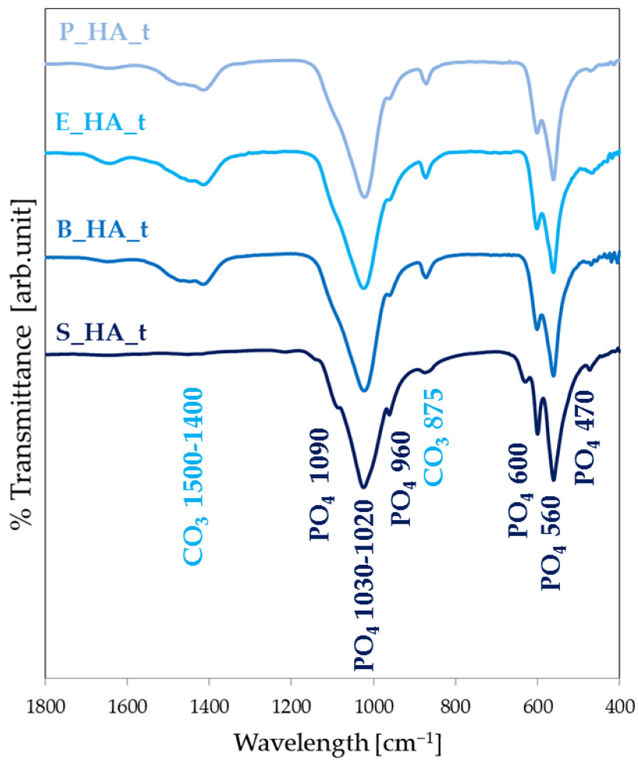 Nanomaterials 14 01332 g001