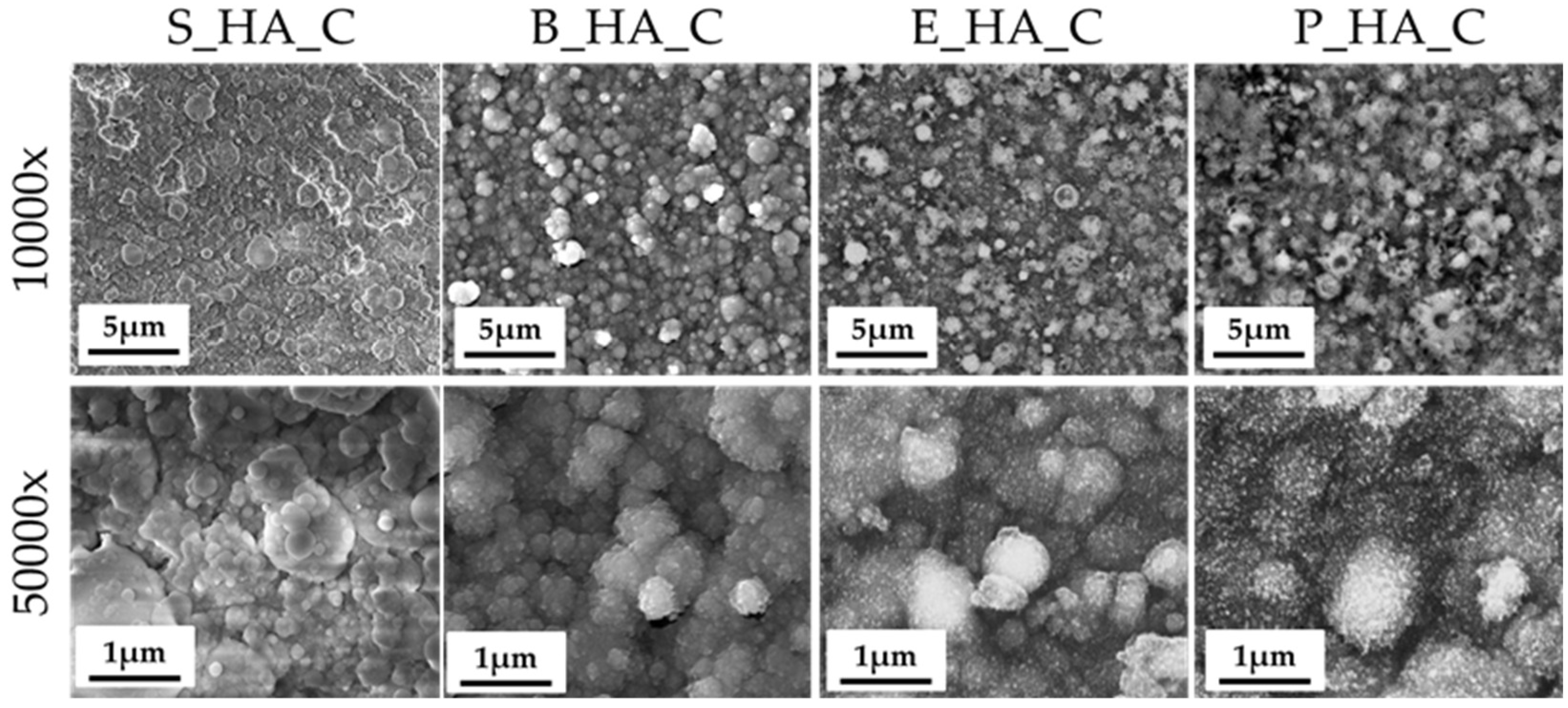 Nanomaterials 14 01332 g002