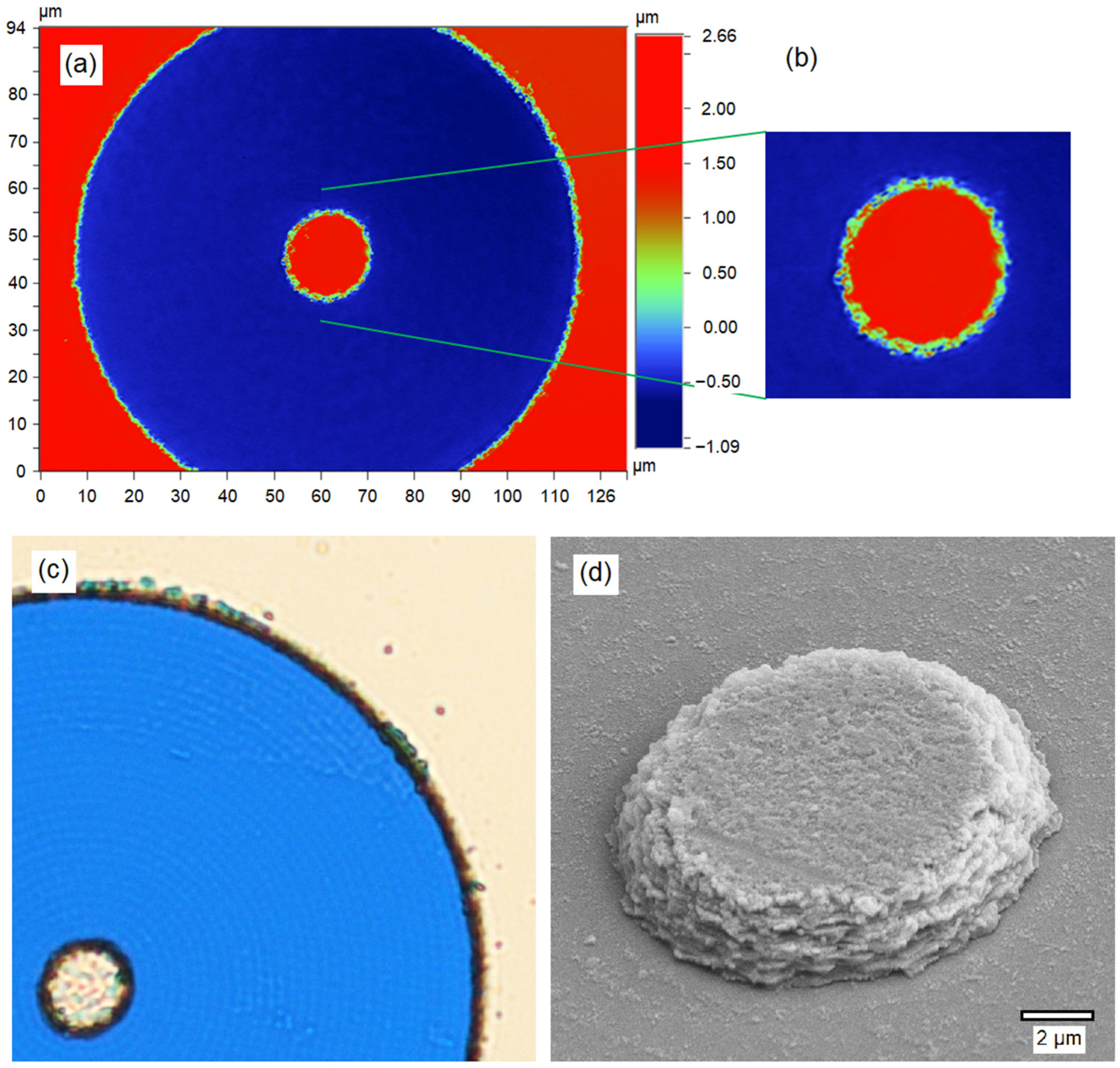 Nanomaterials 14 01345 g006