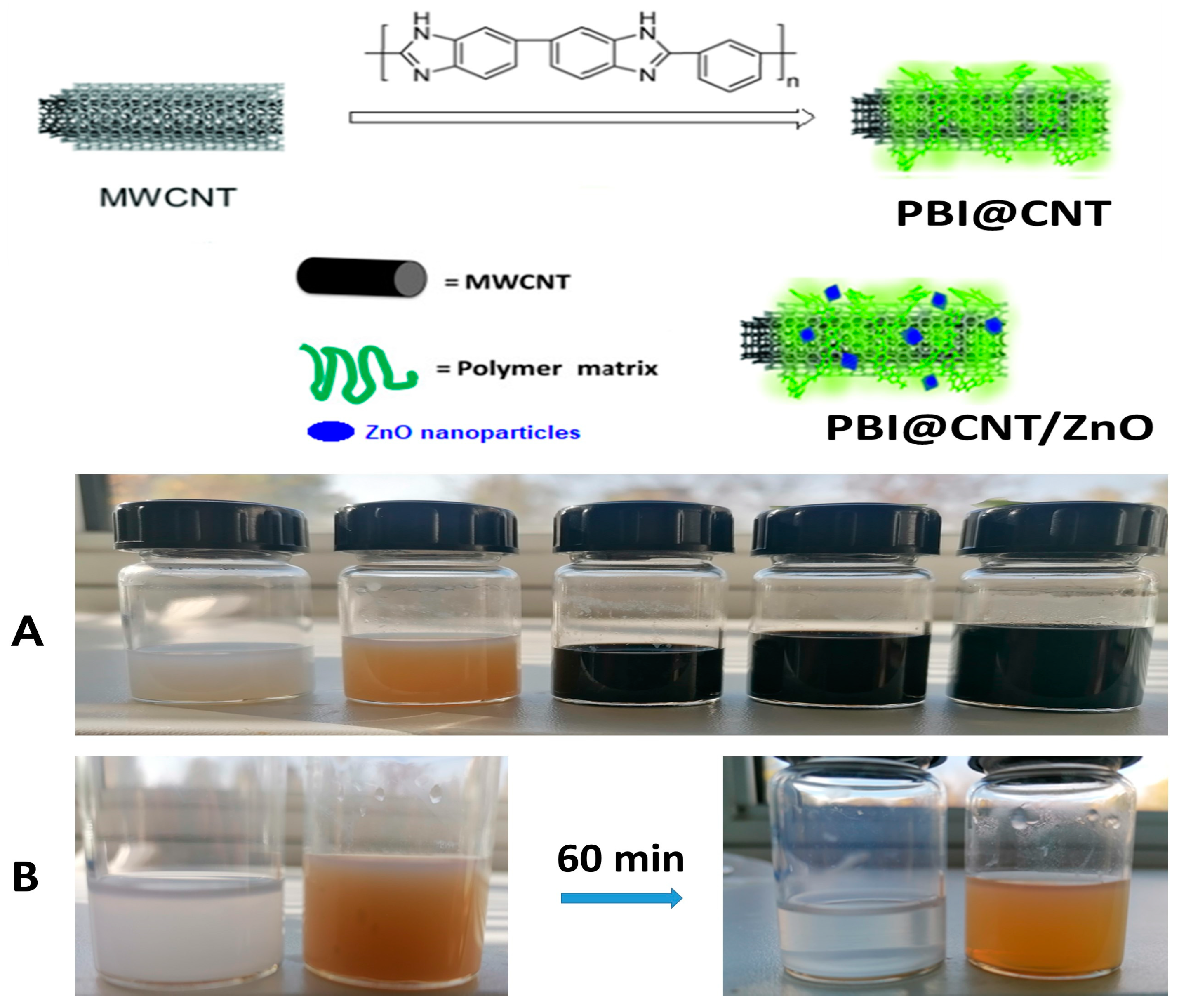 Nanomaterials 14 01346 g001