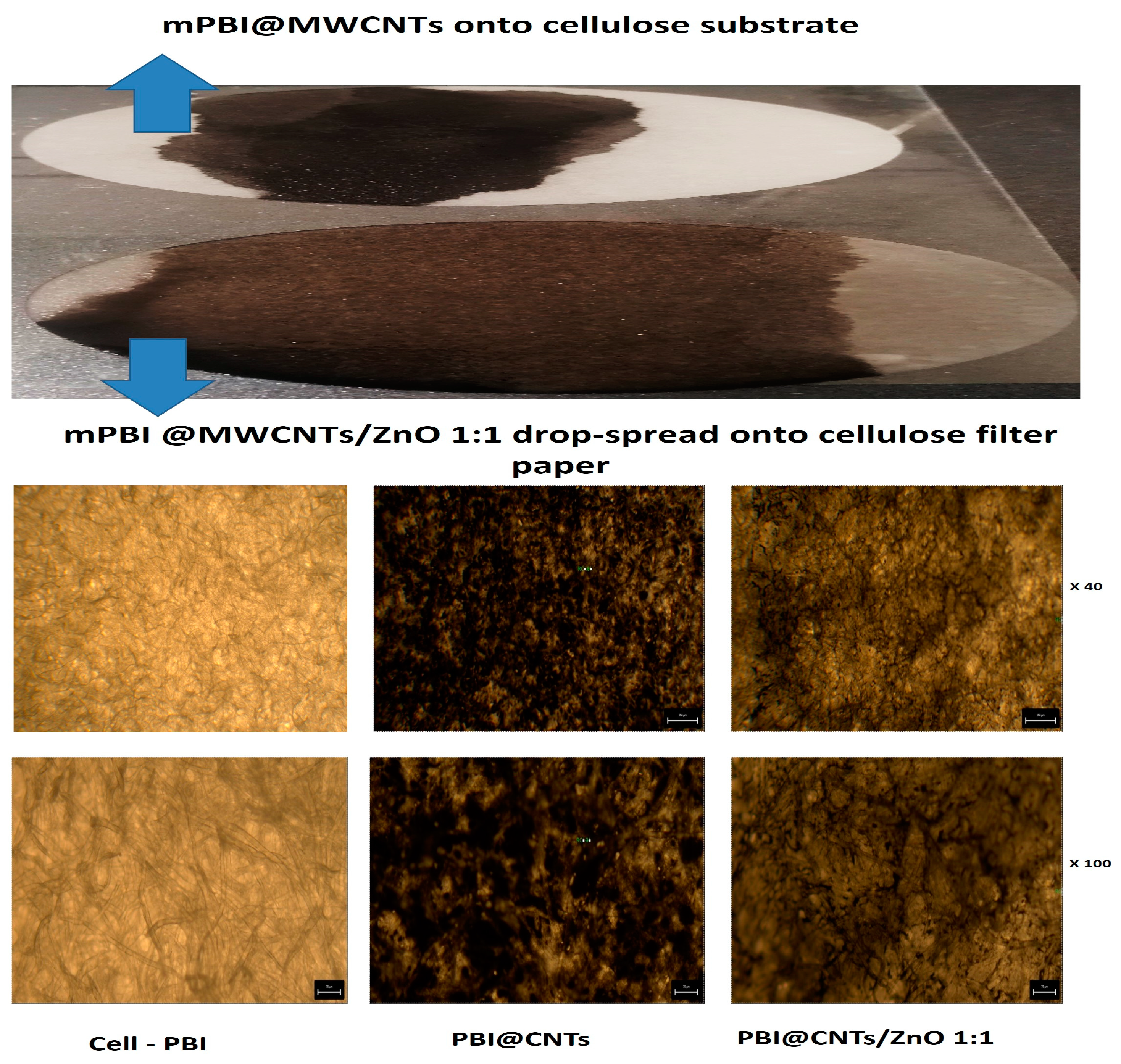 Nanomaterials 14 01346 g003