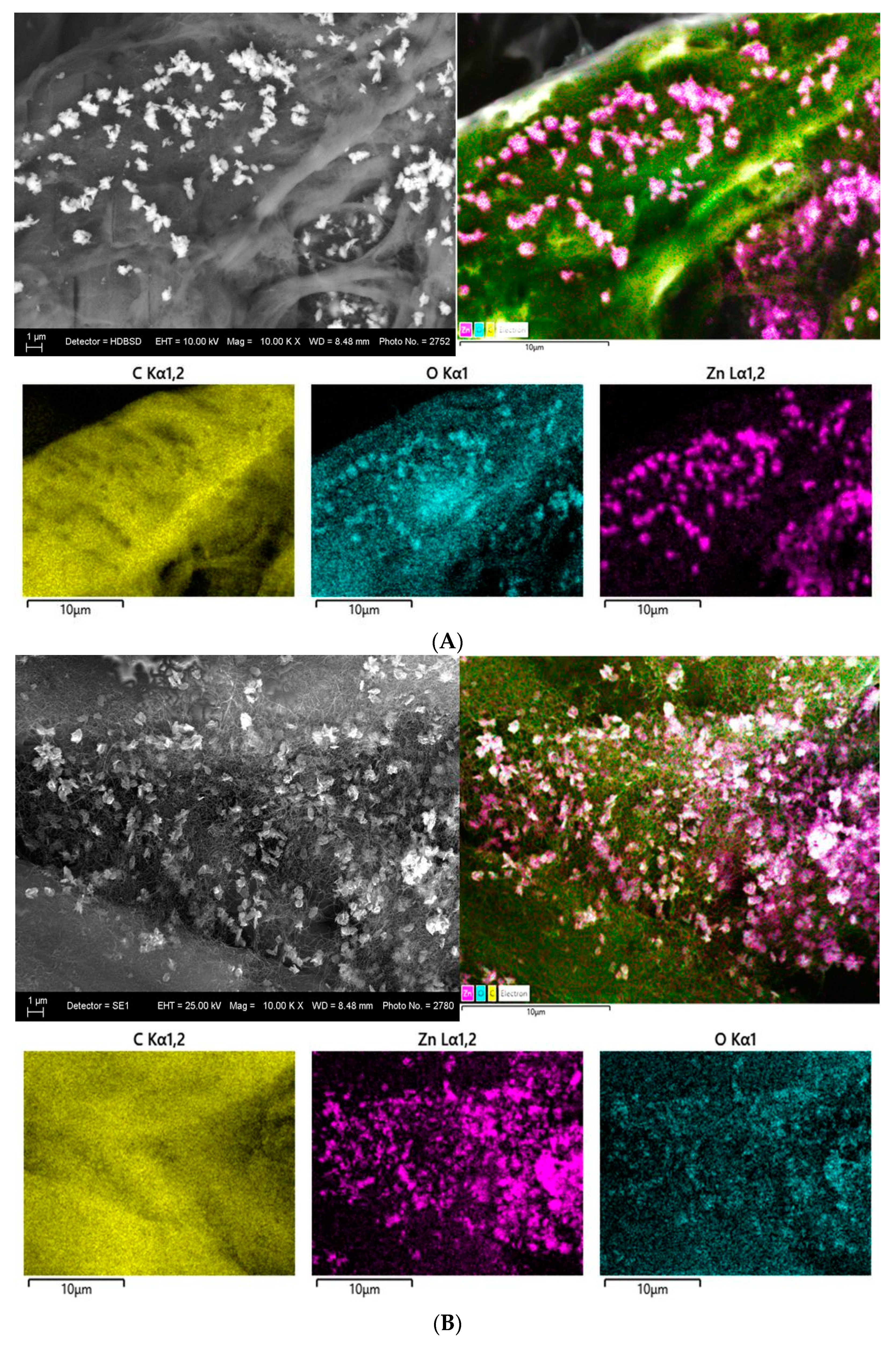 Nanomaterials 14 01346 g007a