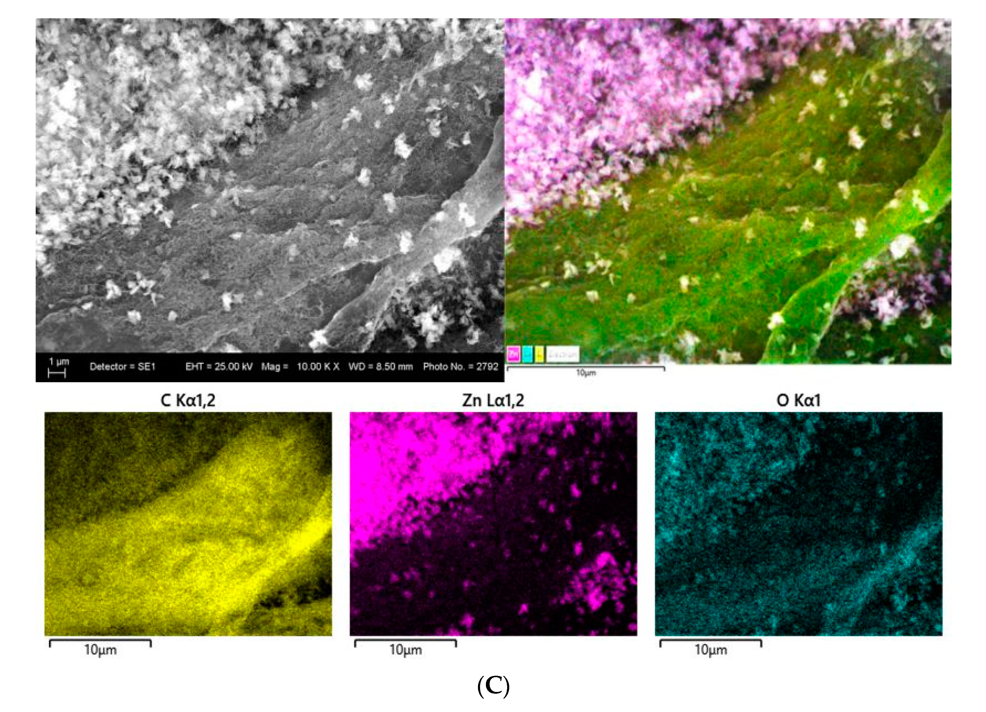 Nanomaterials 14 01346 g007b