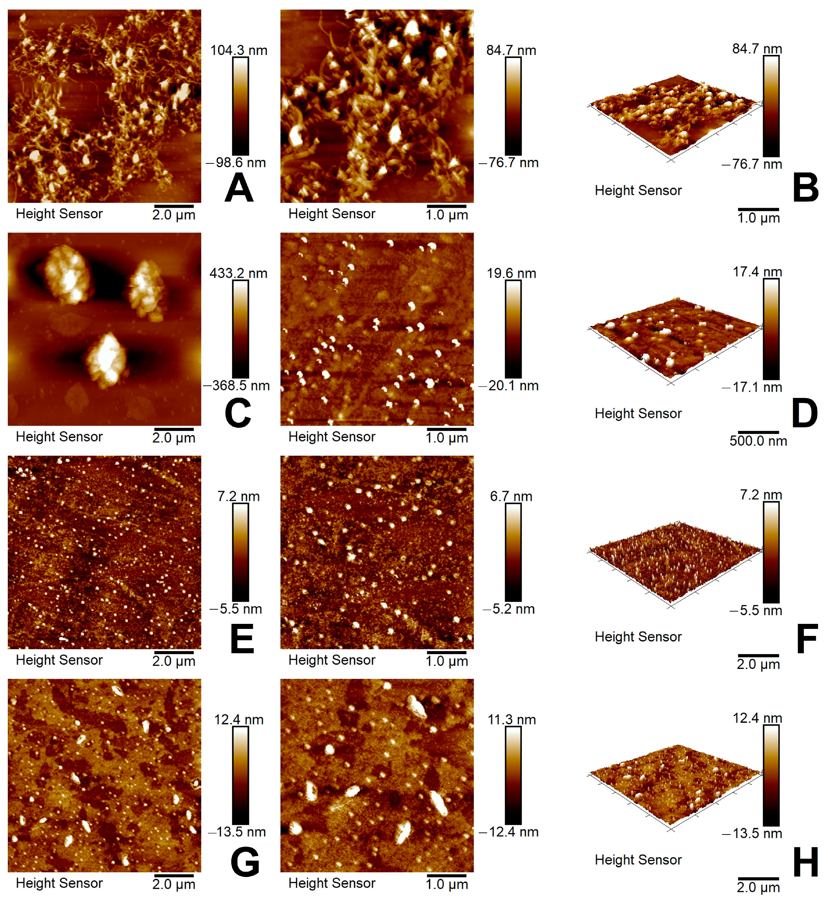 Nanomaterials 14 01346 g009