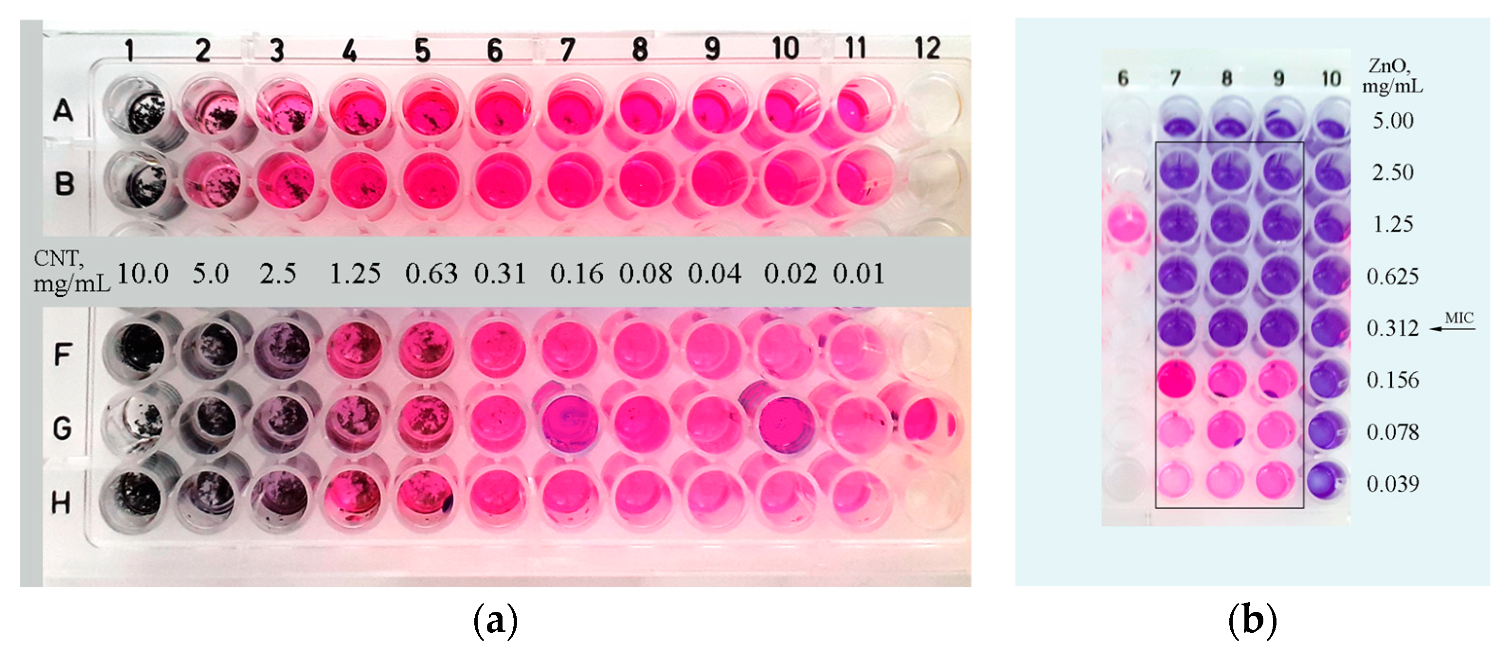 Nanomaterials 14 01346 g017