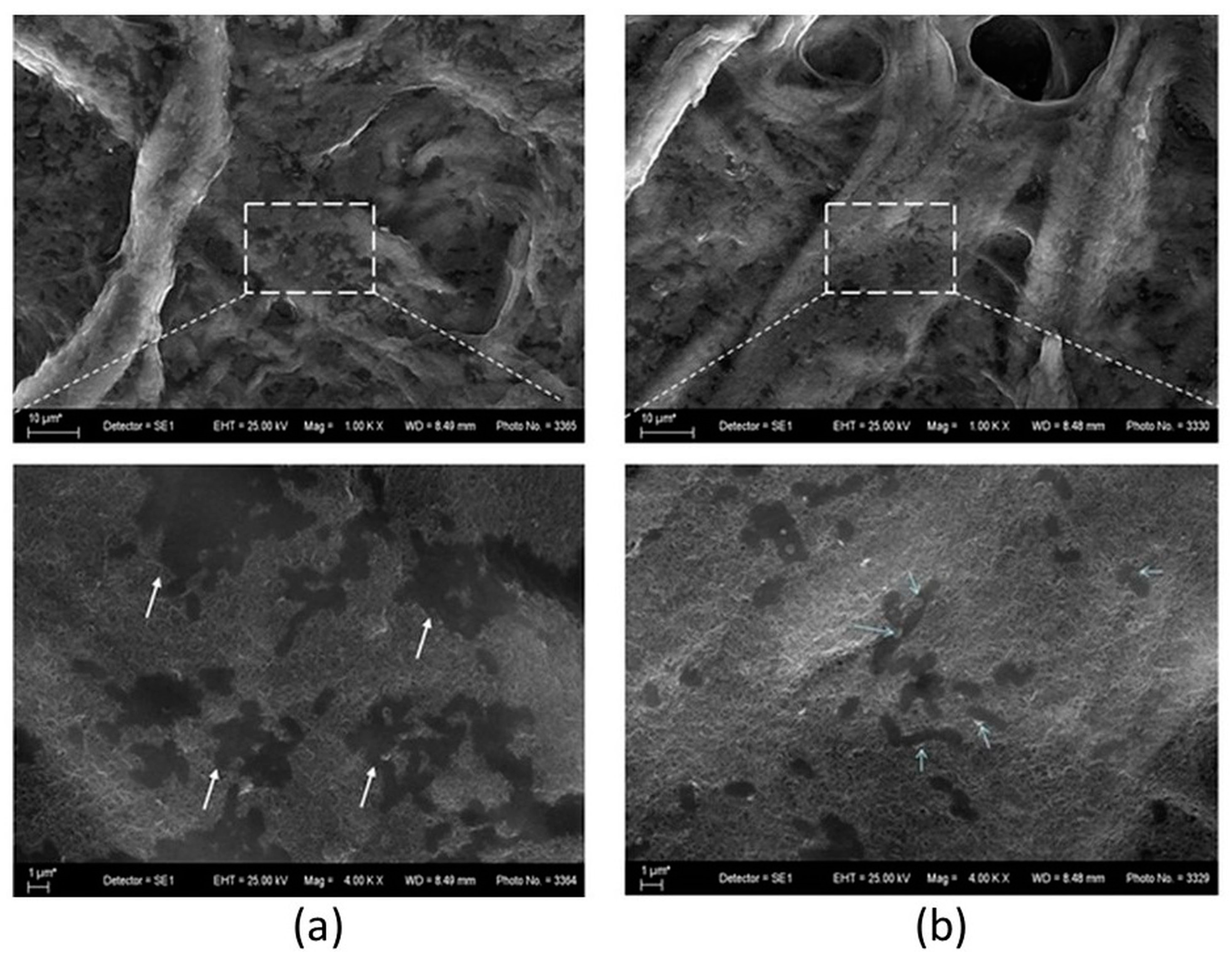 Nanomaterials 14 01346 g020