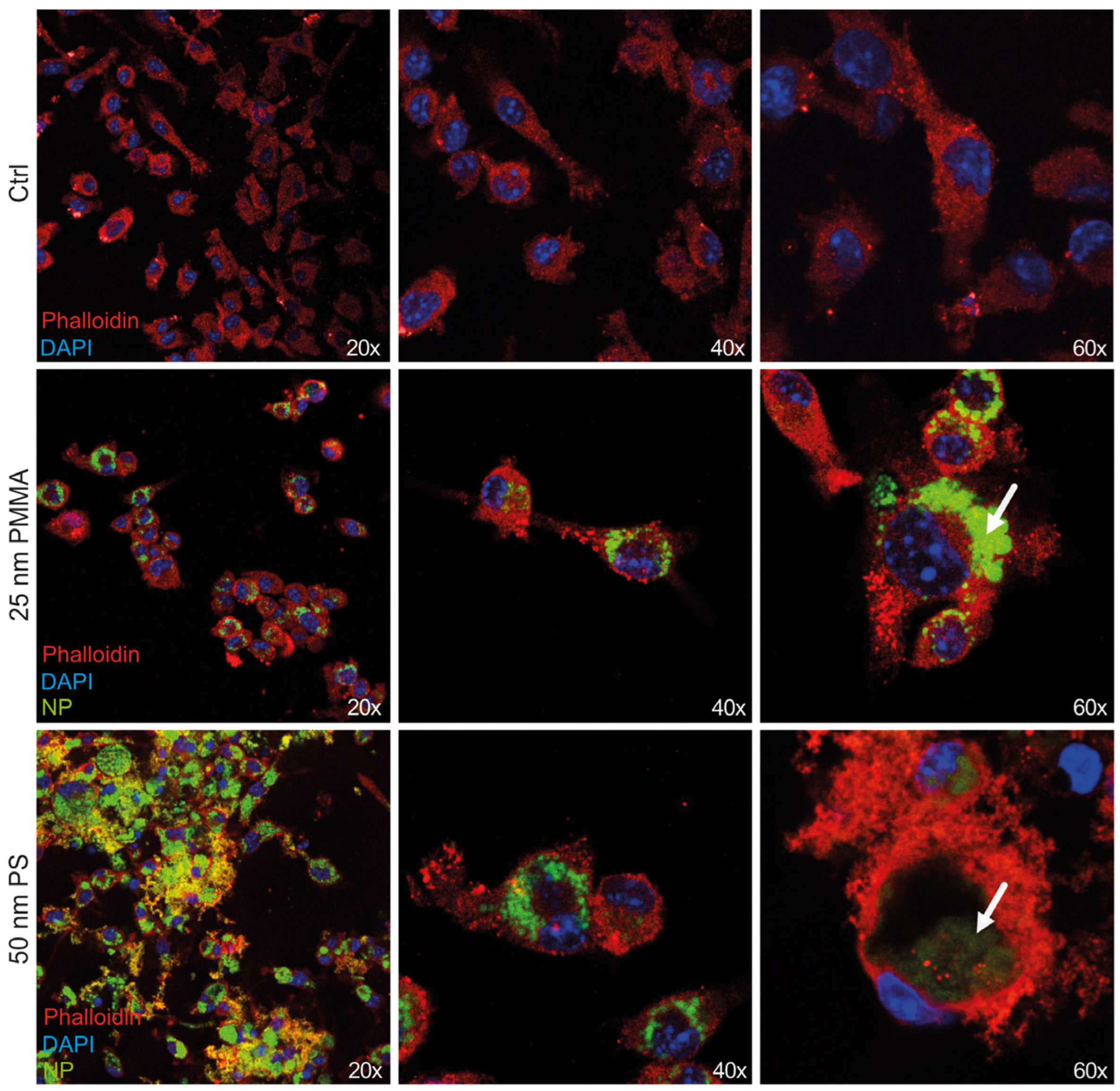 Nanomaterials 14 01350 g002