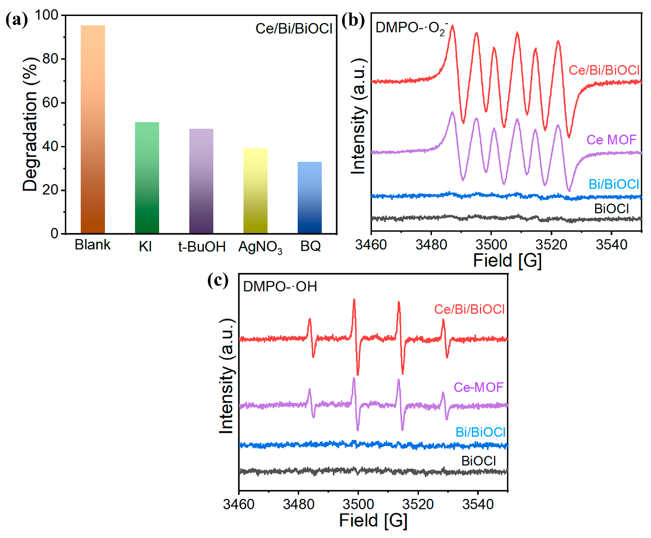 Nanomaterials 14 01352 g007