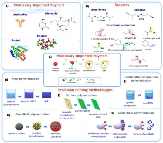 Nanomaterials 14 01361 g001