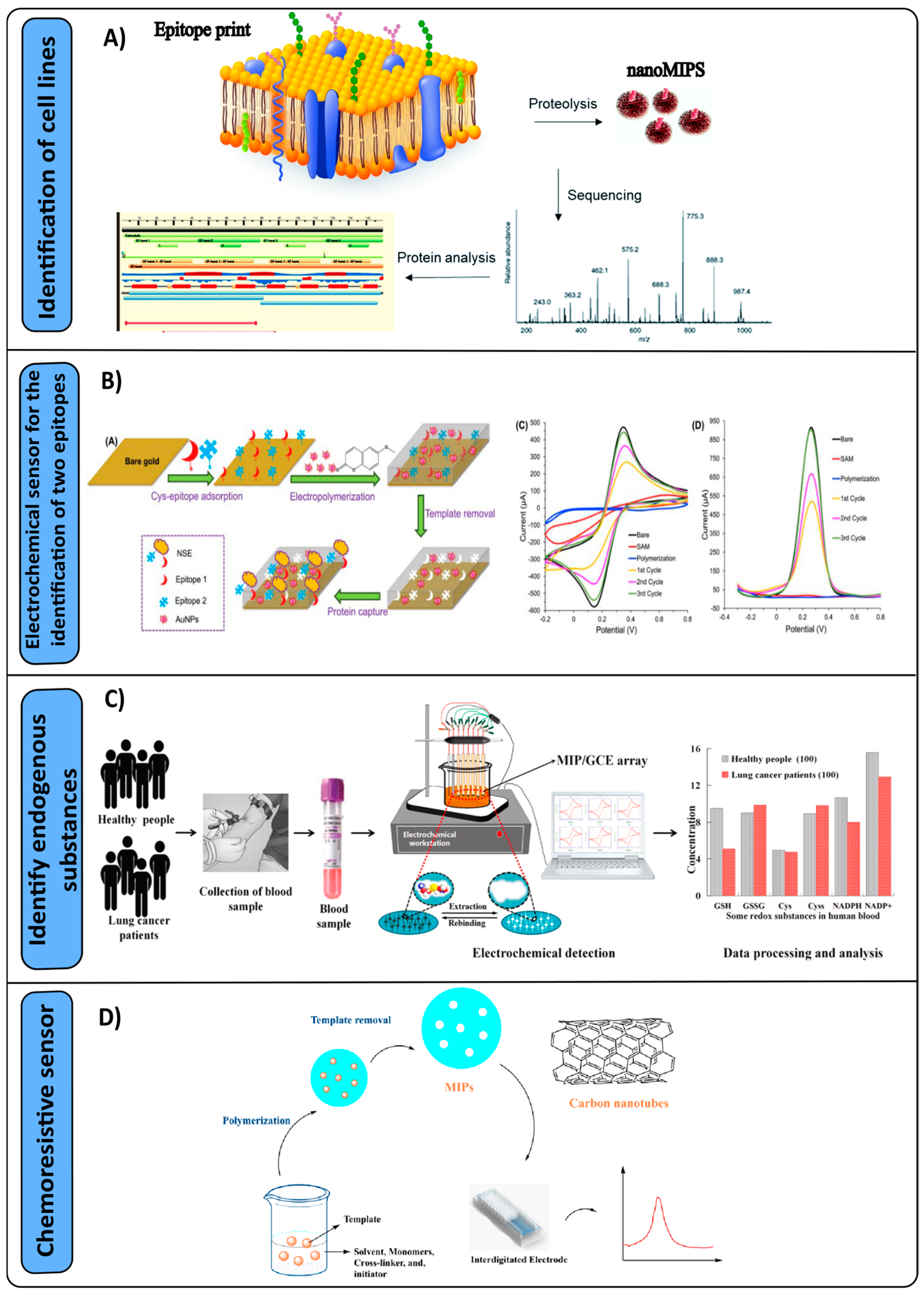 Nanomaterials 14 01361 g003