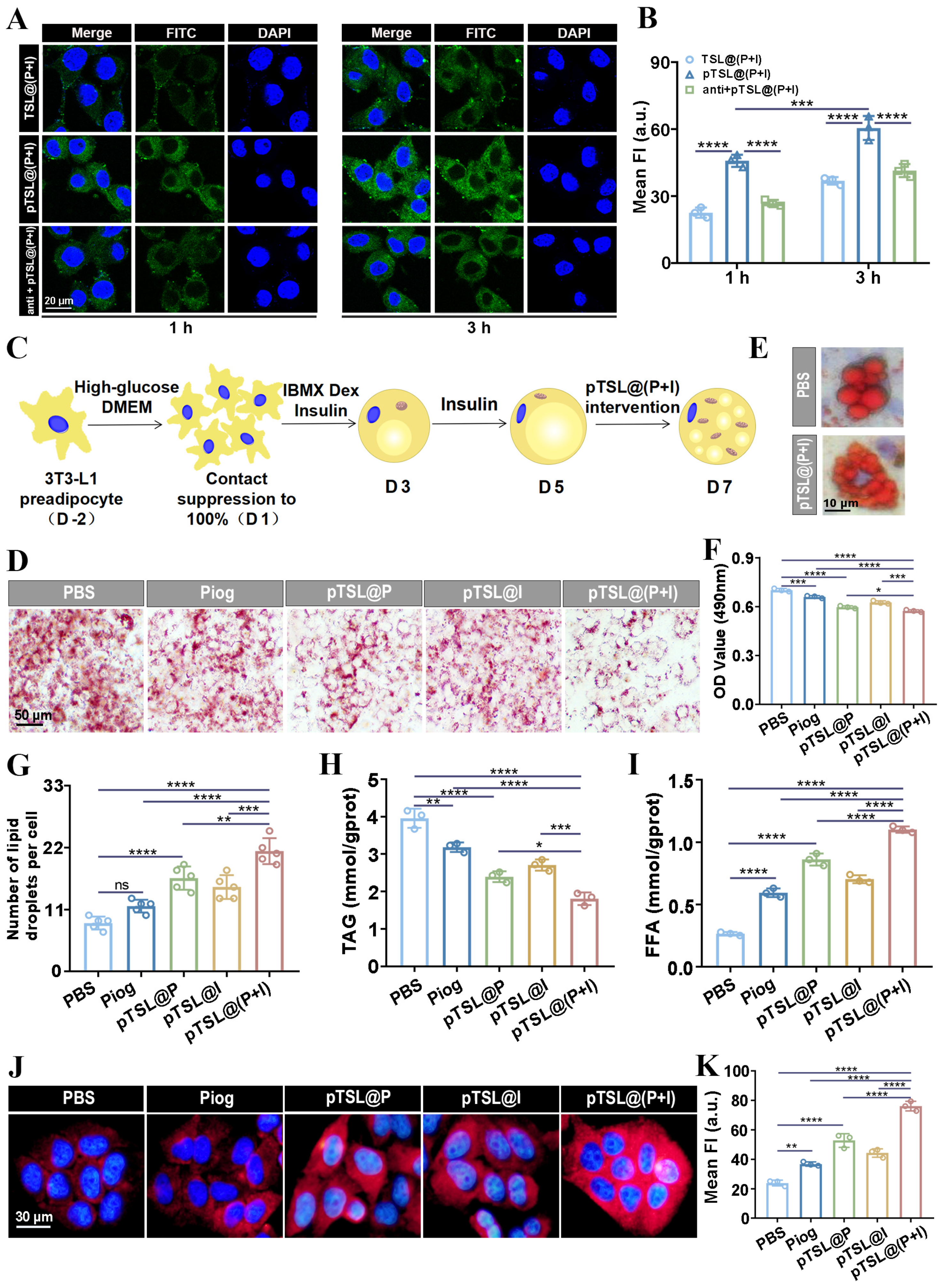 Nanomaterials 14 01363 g002 Nanomaterials 14 01363 g002