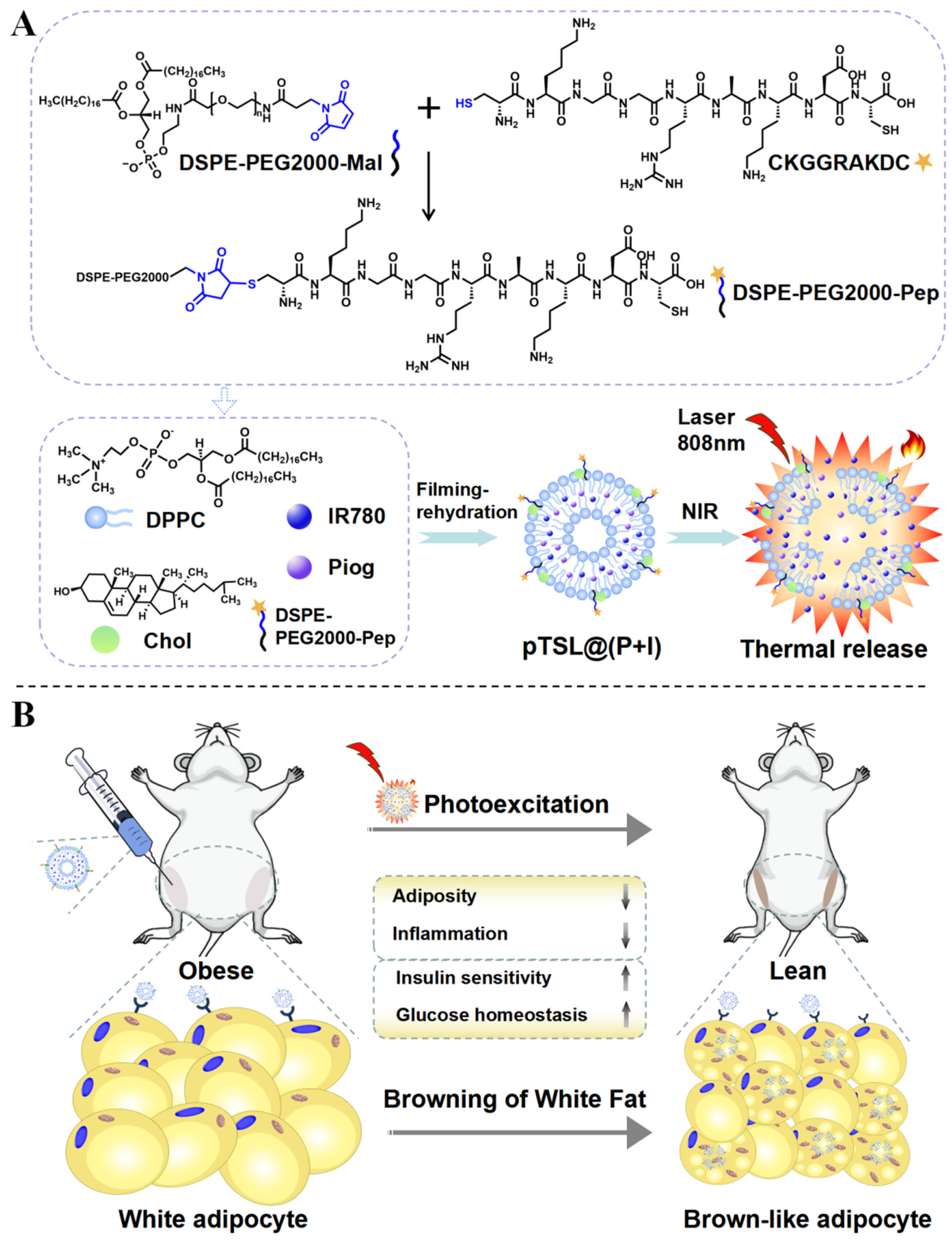 Nanomaterials 14 01363 sch001 Nanomaterials 14 01363 sch001