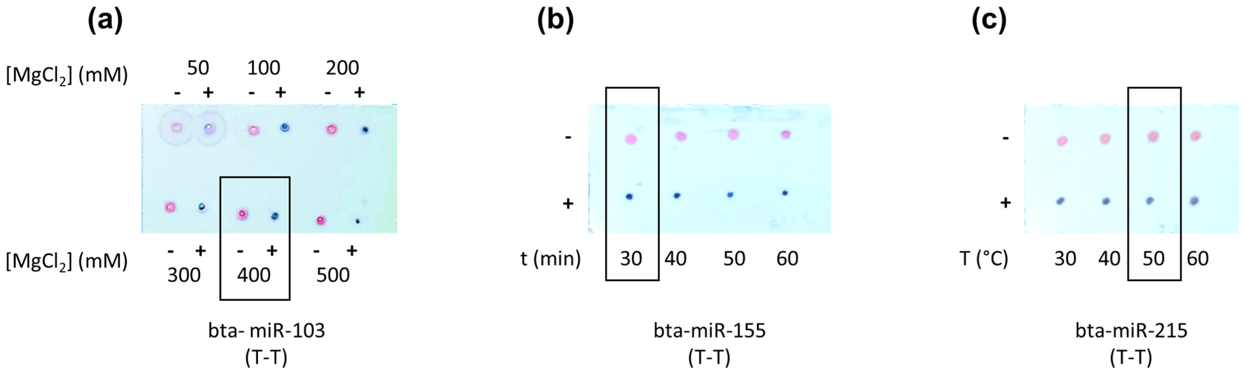 Nanomaterials 14 01364 g005