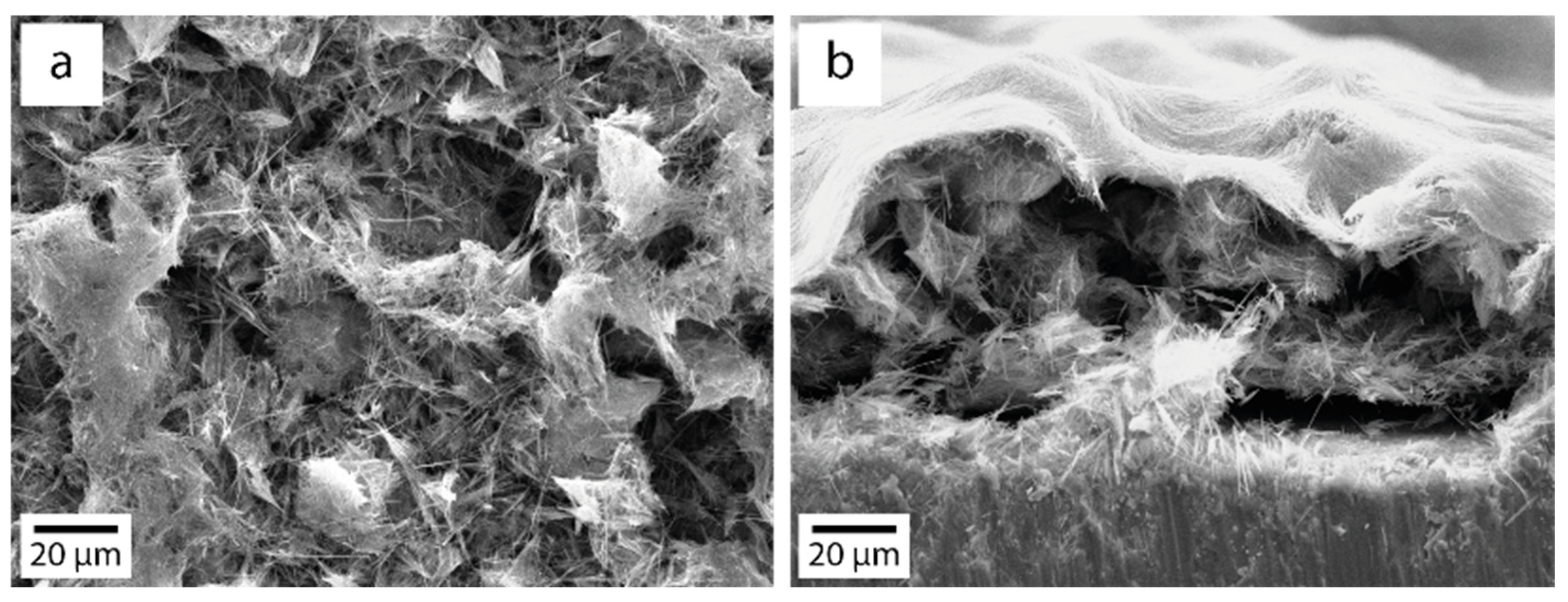 Nanomaterials 14 01370 g011