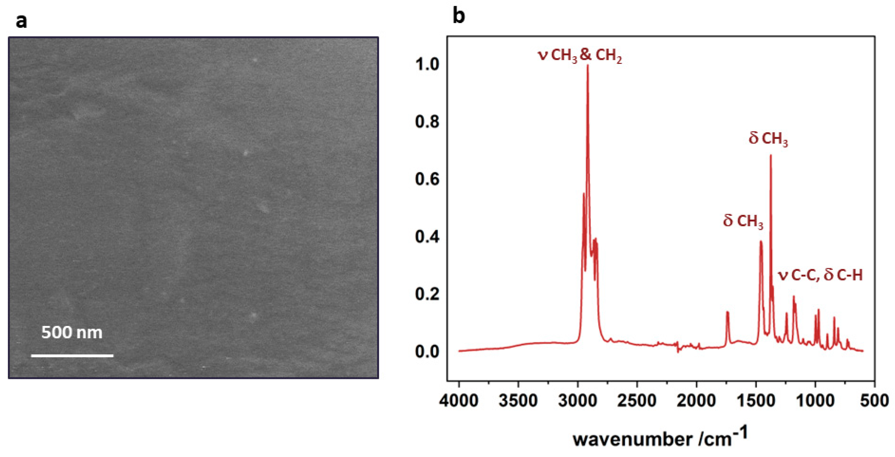 Nanomaterials 14 01372 g001