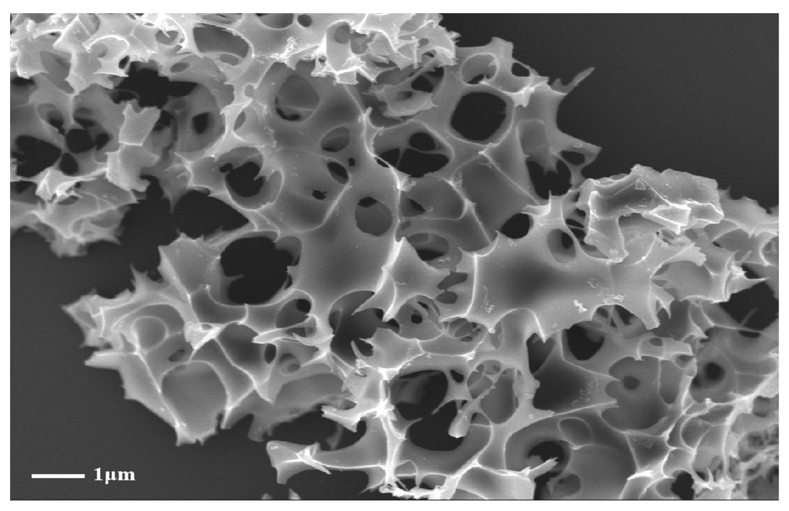 Nanomaterials 14 01377 g001