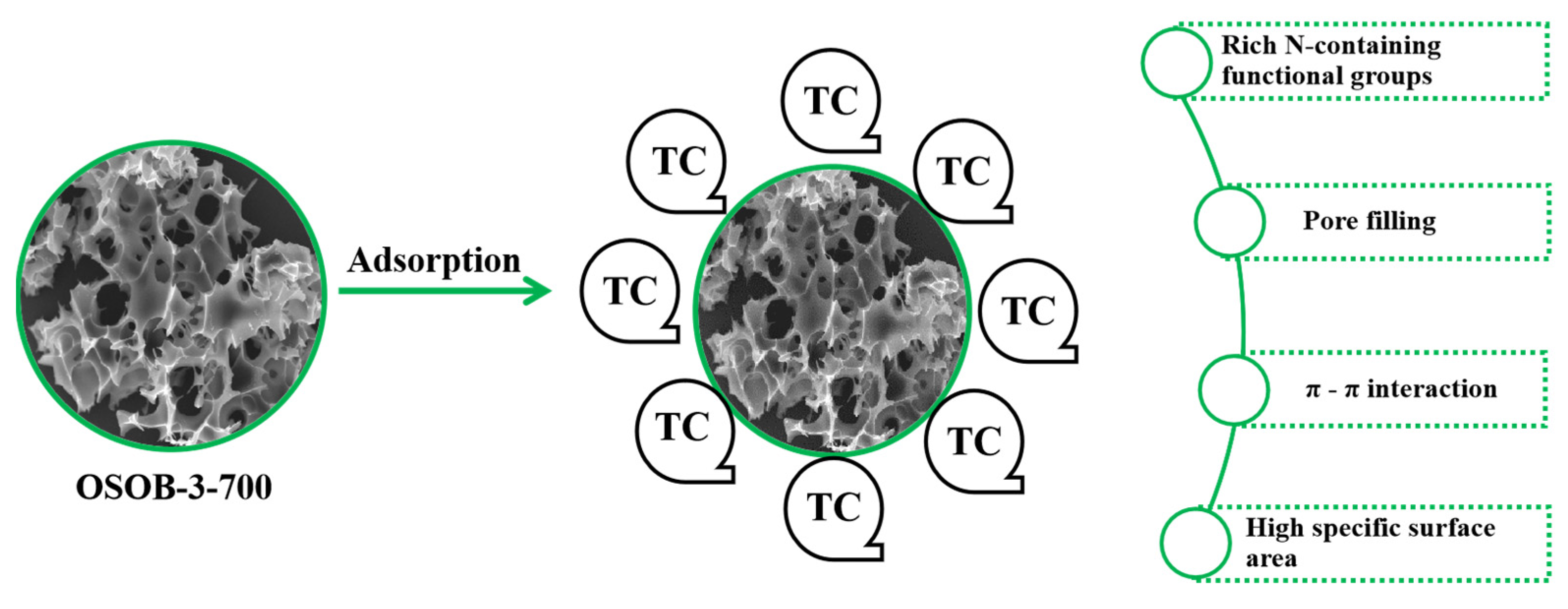 Nanomaterials 14 01377 g011