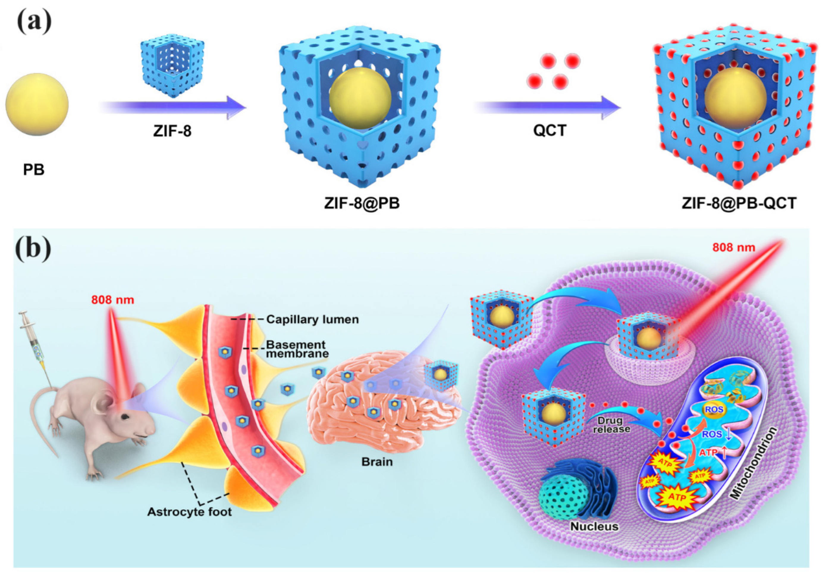 Nanomaterials 14 01379 g002